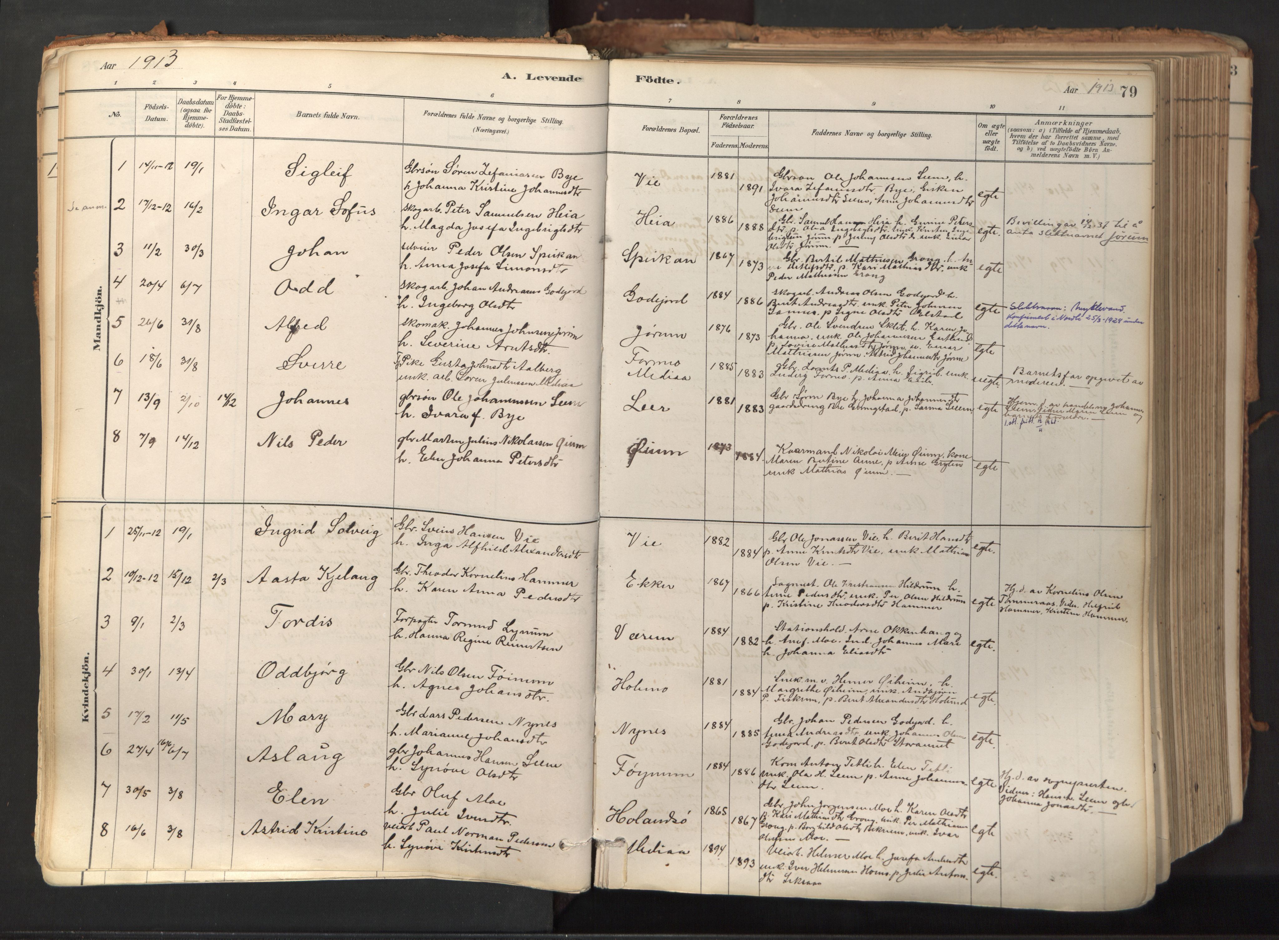 Ministerialprotokoller, klokkerbøker og fødselsregistre - Nord-Trøndelag, SAT/A-1458/758/L0519: Parish register (official) no. 758A04, 1880-1926, p. 79