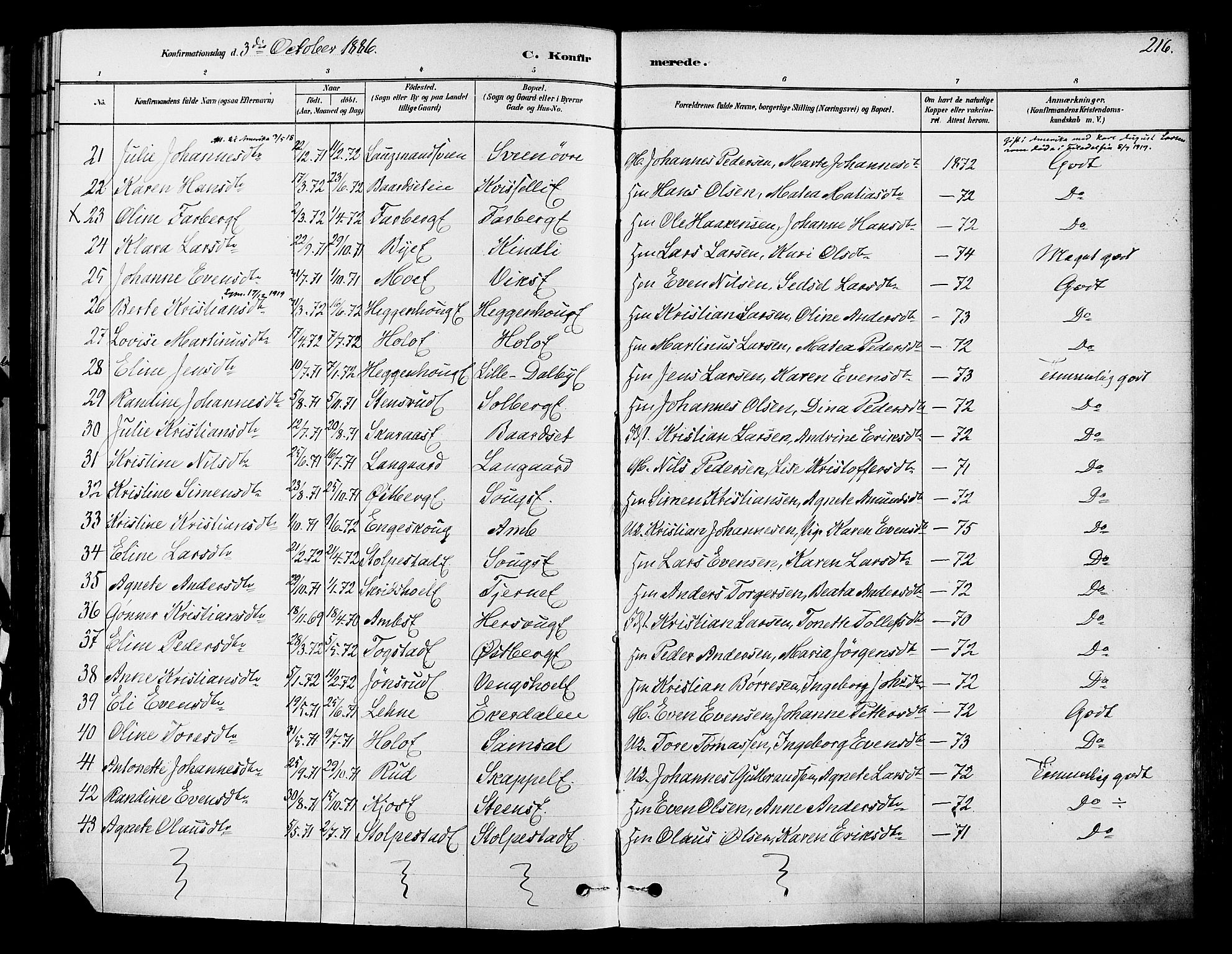 Ringsaker prestekontor, AV/SAH-PREST-014/K/Ka/L0012: Parish register (official) no. 12, 1879-1890, p. 216