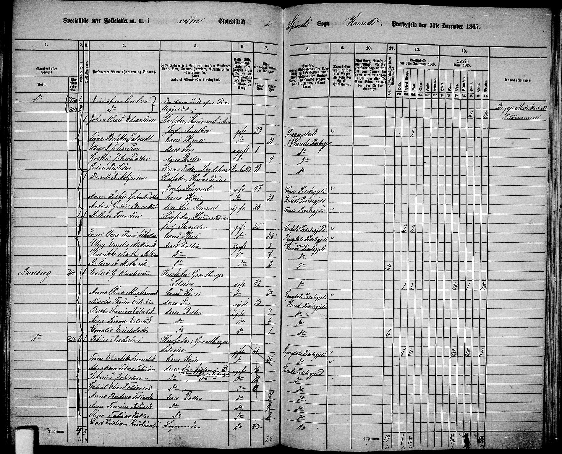 RA, 1865 census for Herad, 1865, p. 50