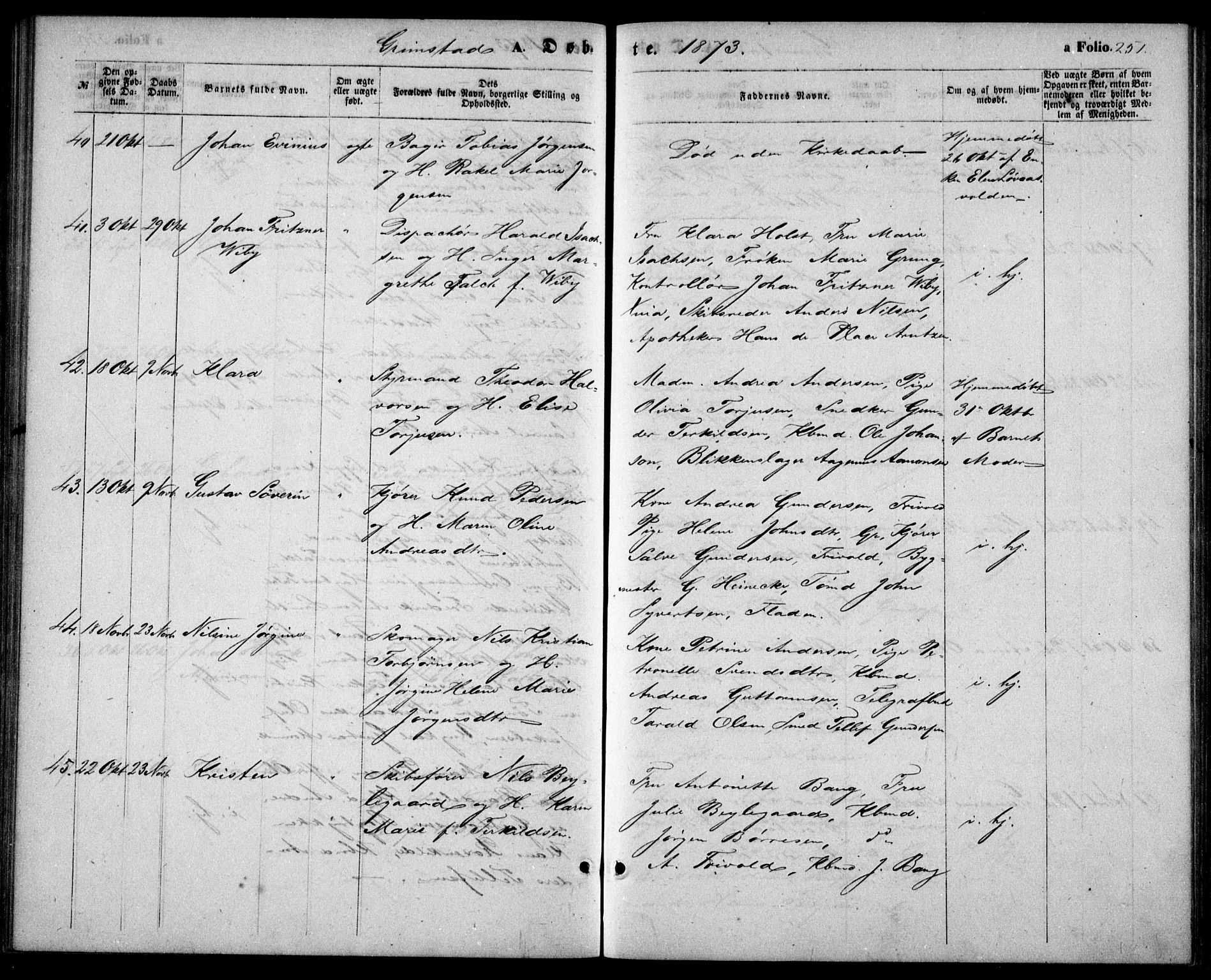 Fjære sokneprestkontor, AV/SAK-1111-0011/F/Fb/L0009: Parish register (copy) no. B 9, 1867-1870, p. 251