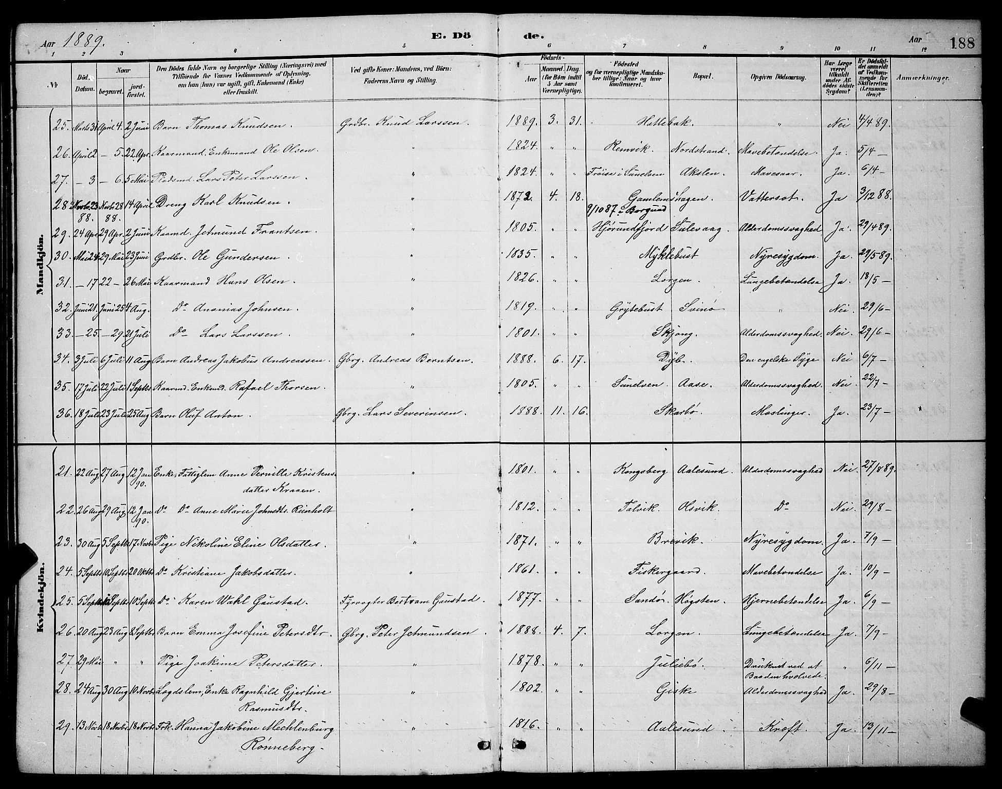 Ministerialprotokoller, klokkerbøker og fødselsregistre - Møre og Romsdal, SAT/A-1454/528/L0430: Parish register (copy) no. 528C11, 1884-1899, p. 188