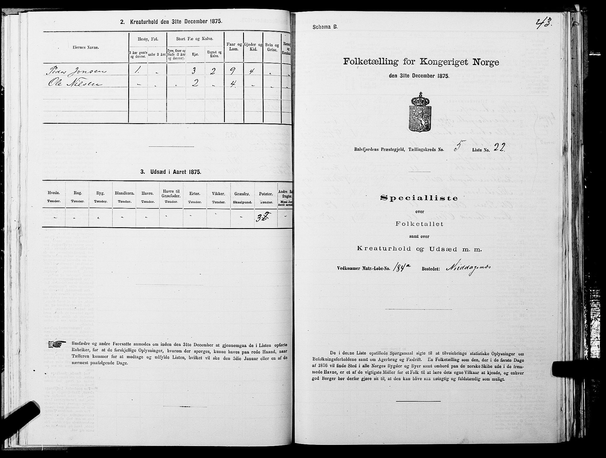 SATØ, 1875 census for 1933P Balsfjord, 1875, p. 3043