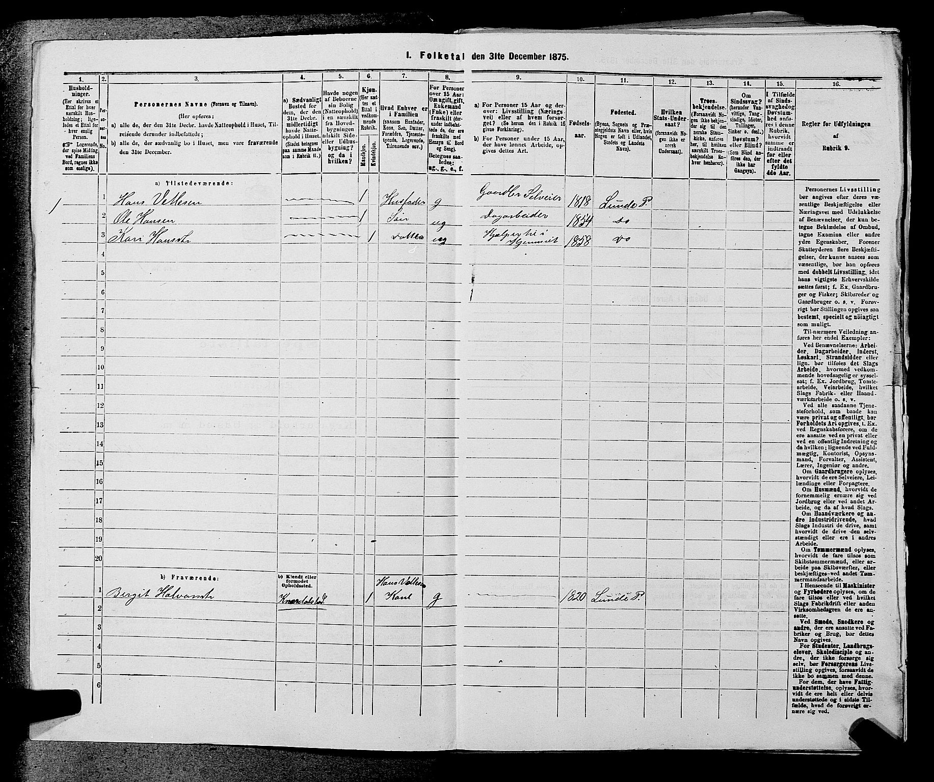 SAKO, 1875 census for 0818P Solum, 1875, p. 993