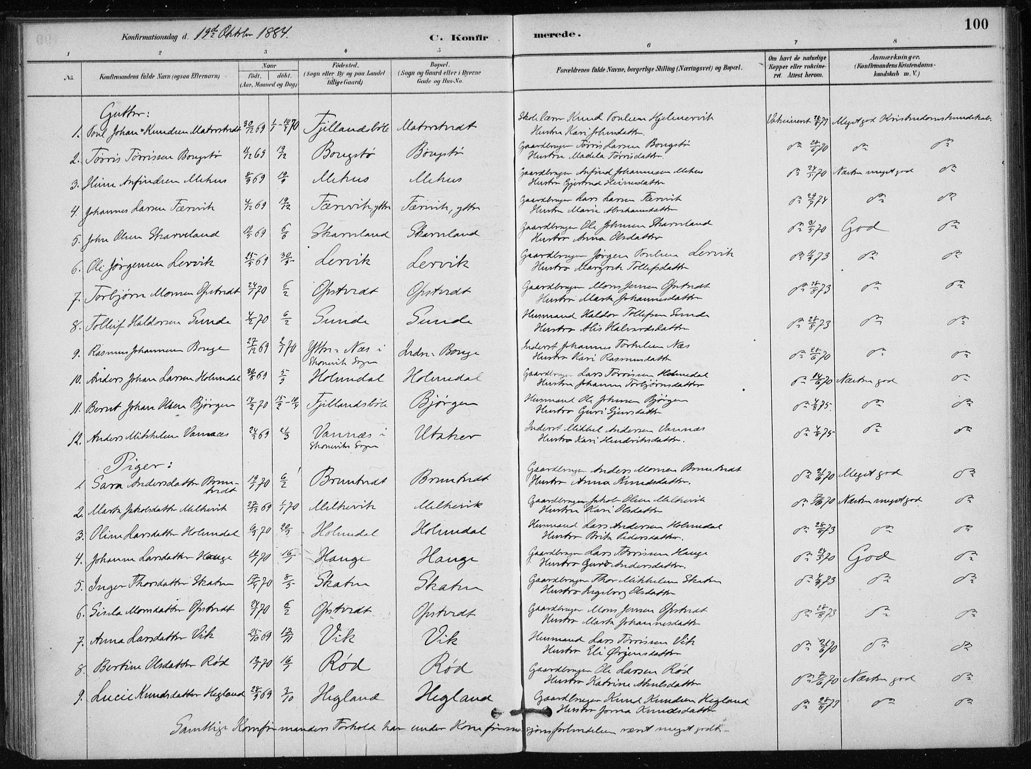 Skånevik sokneprestembete, SAB/A-77801/H/Haa: Parish register (official) no. C  1, 1879-1917, p. 100