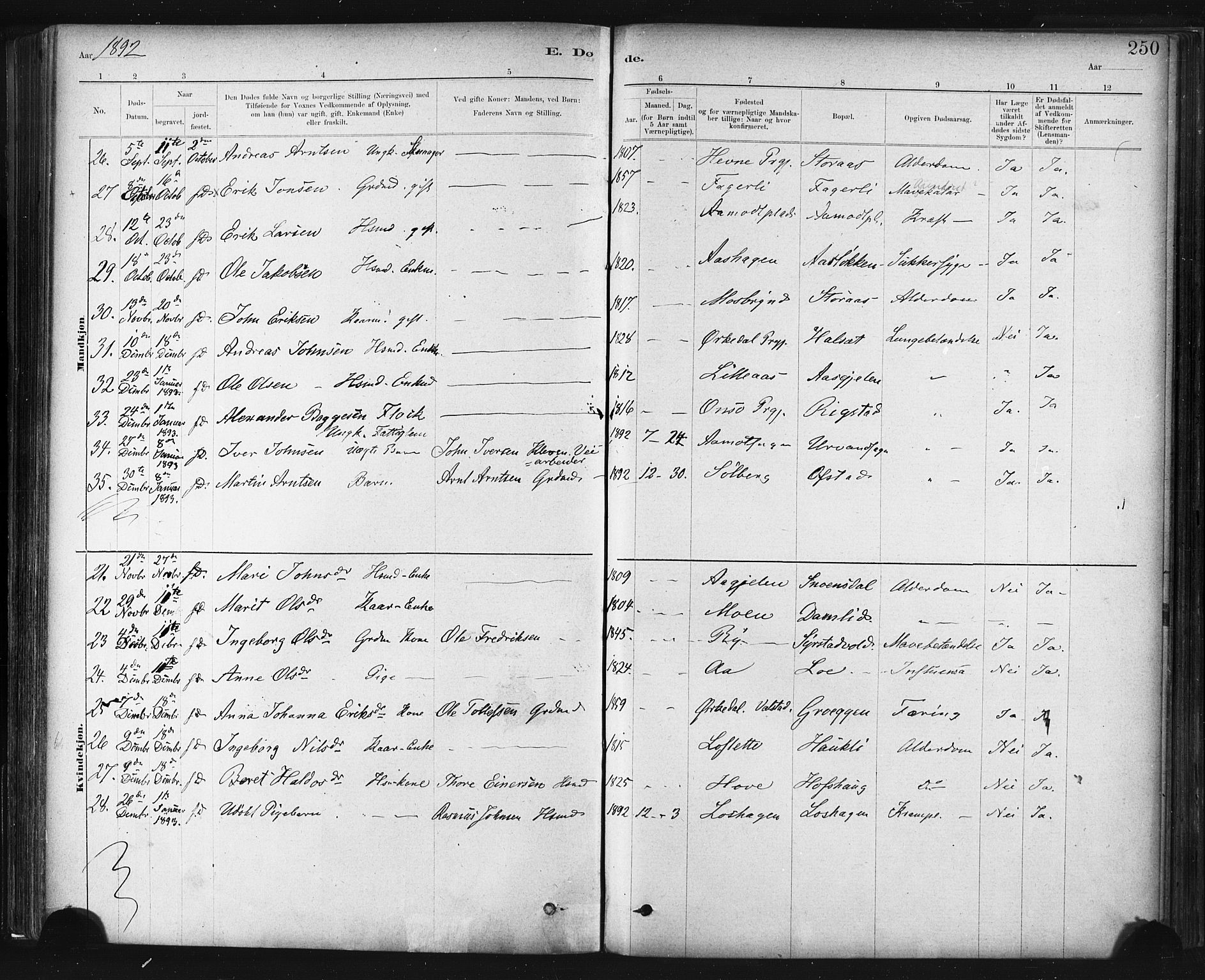 Ministerialprotokoller, klokkerbøker og fødselsregistre - Sør-Trøndelag, AV/SAT-A-1456/672/L0857: Parish register (official) no. 672A09, 1882-1893, p. 250