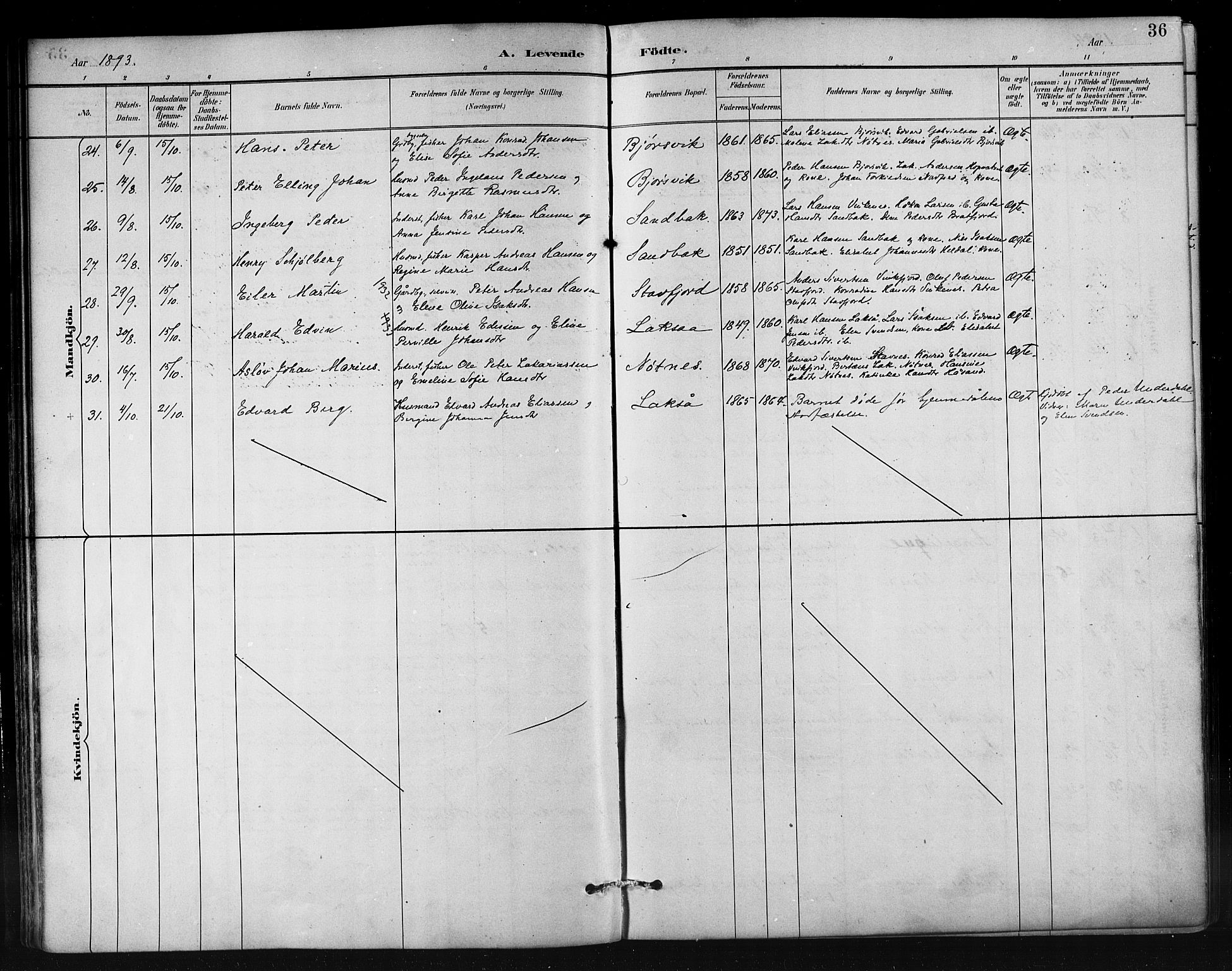 Ministerialprotokoller, klokkerbøker og fødselsregistre - Nordland, AV/SAT-A-1459/858/L0831: Parish register (official) no. 858A01, 1884-1902, p. 36