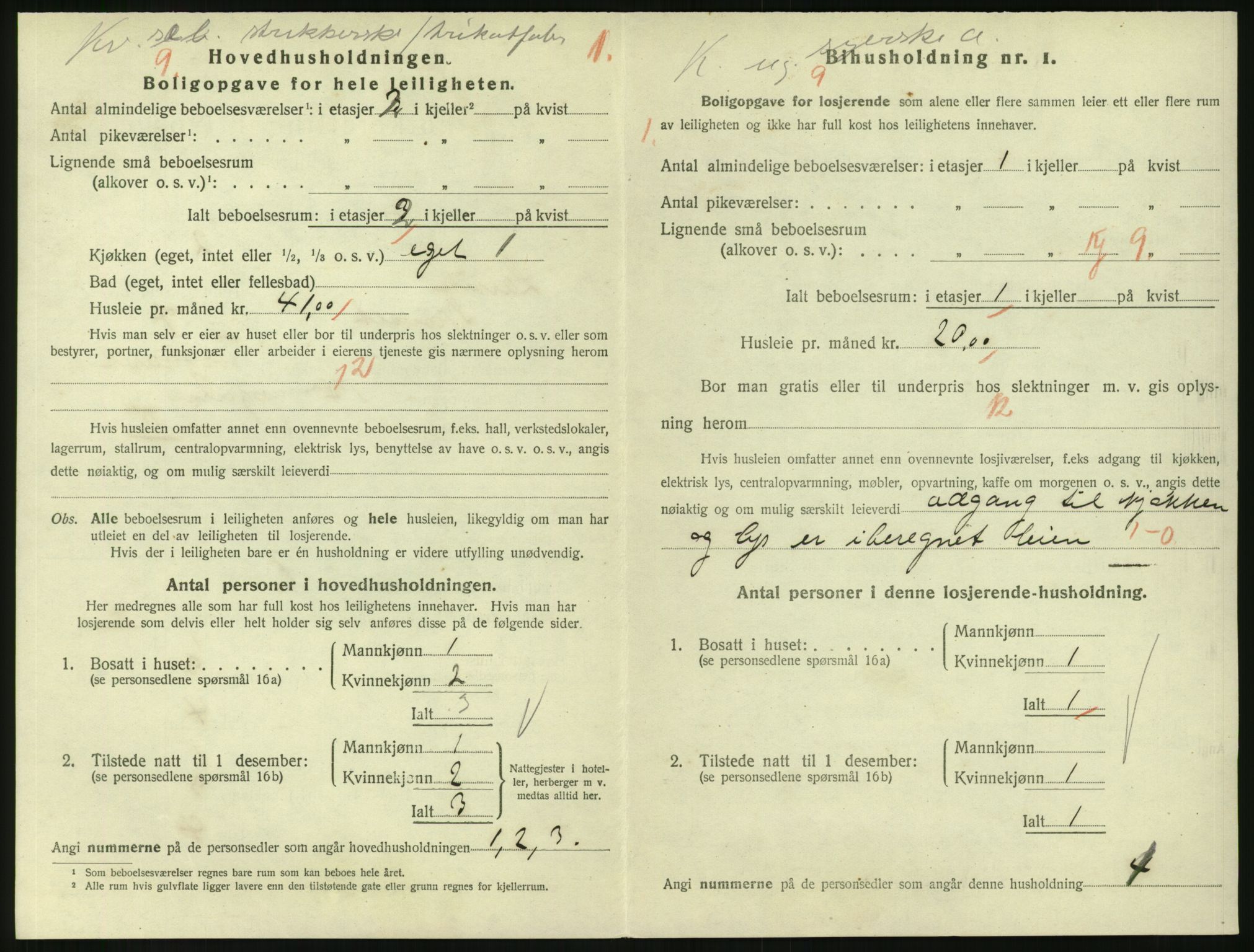 SAKO, 1920 census for Larvik, 1920, p. 5043