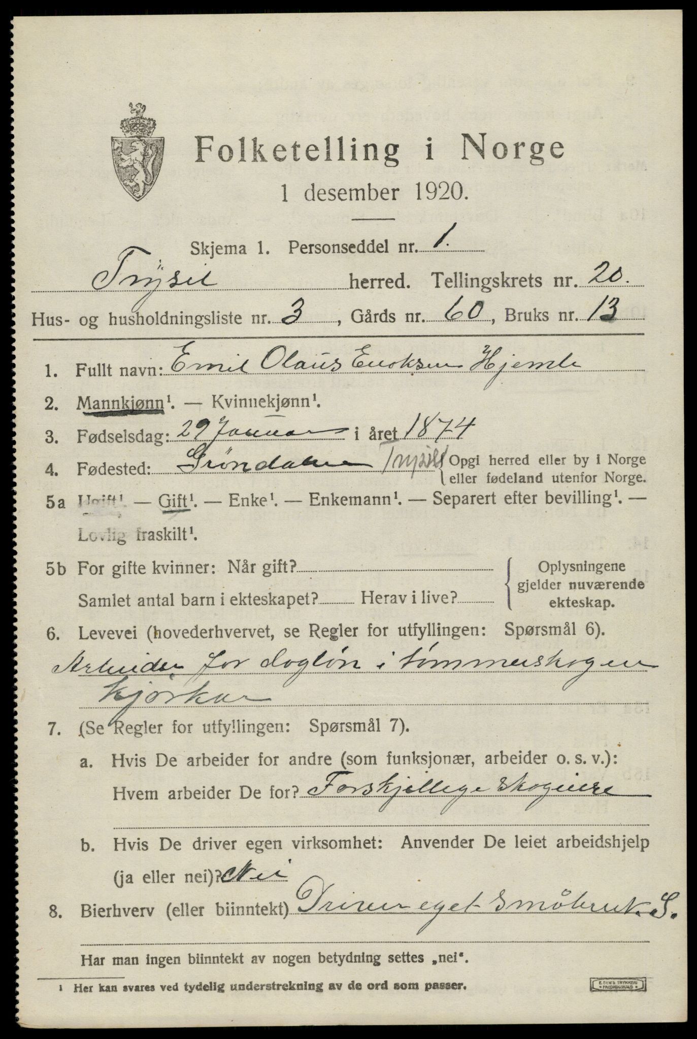 SAH, 1920 census for Trysil, 1920, p. 13025