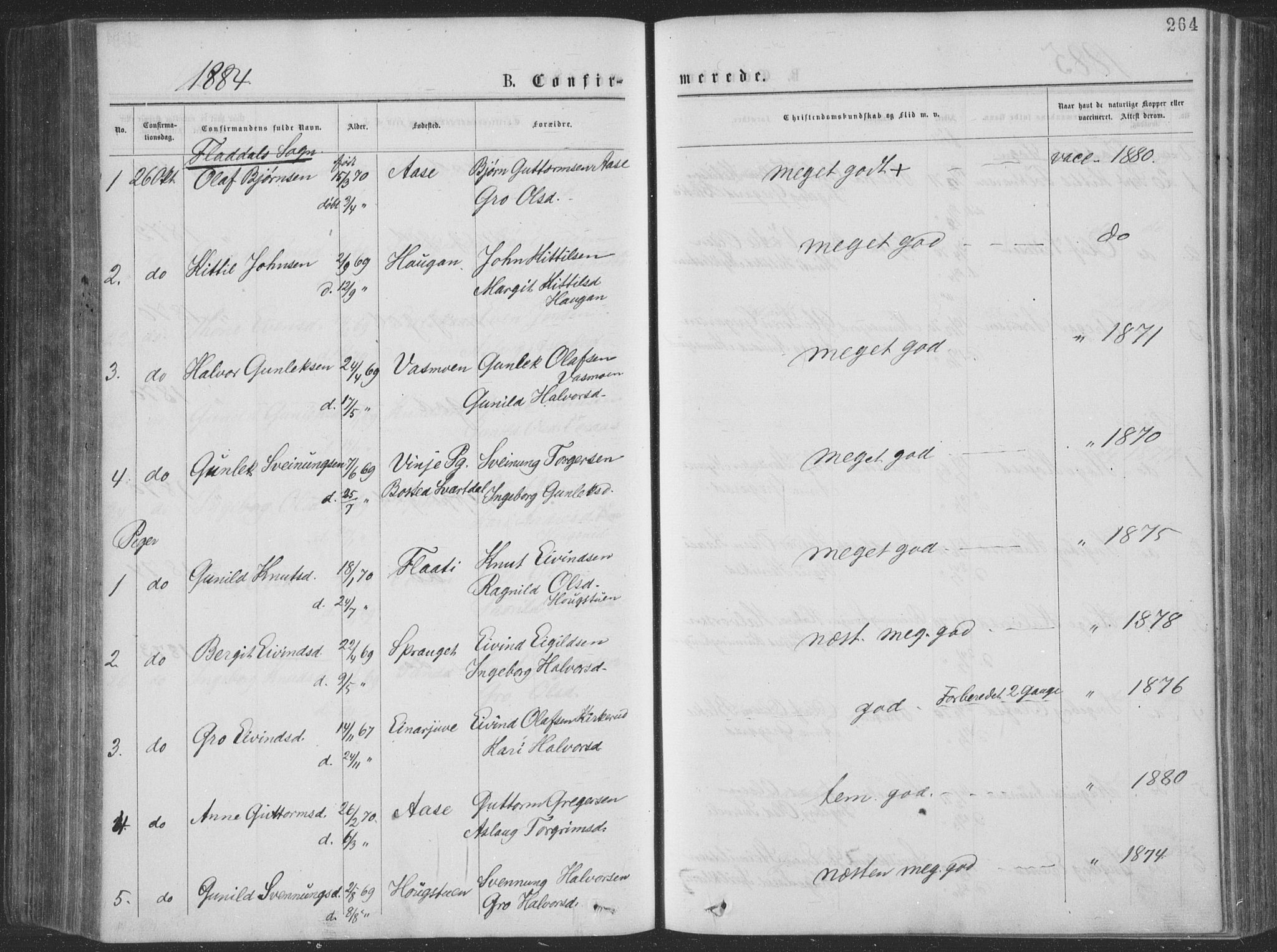 Seljord kirkebøker, AV/SAKO-A-20/F/Fa/L0014: Parish register (official) no. I 14, 1877-1886, p. 264