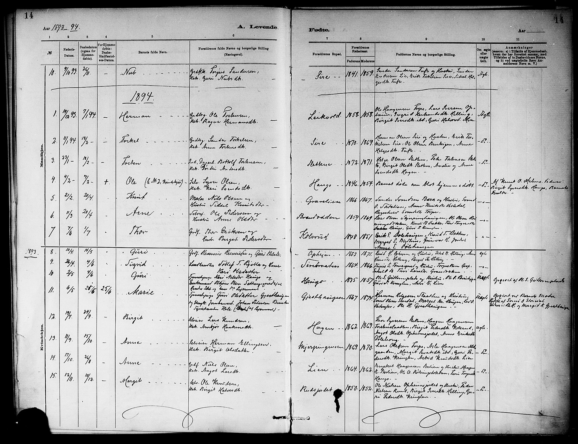 Ål kirkebøker, SAKO/A-249/F/Fb/L0001: Parish register (official) no. II 1, 1882-1899, p. 14