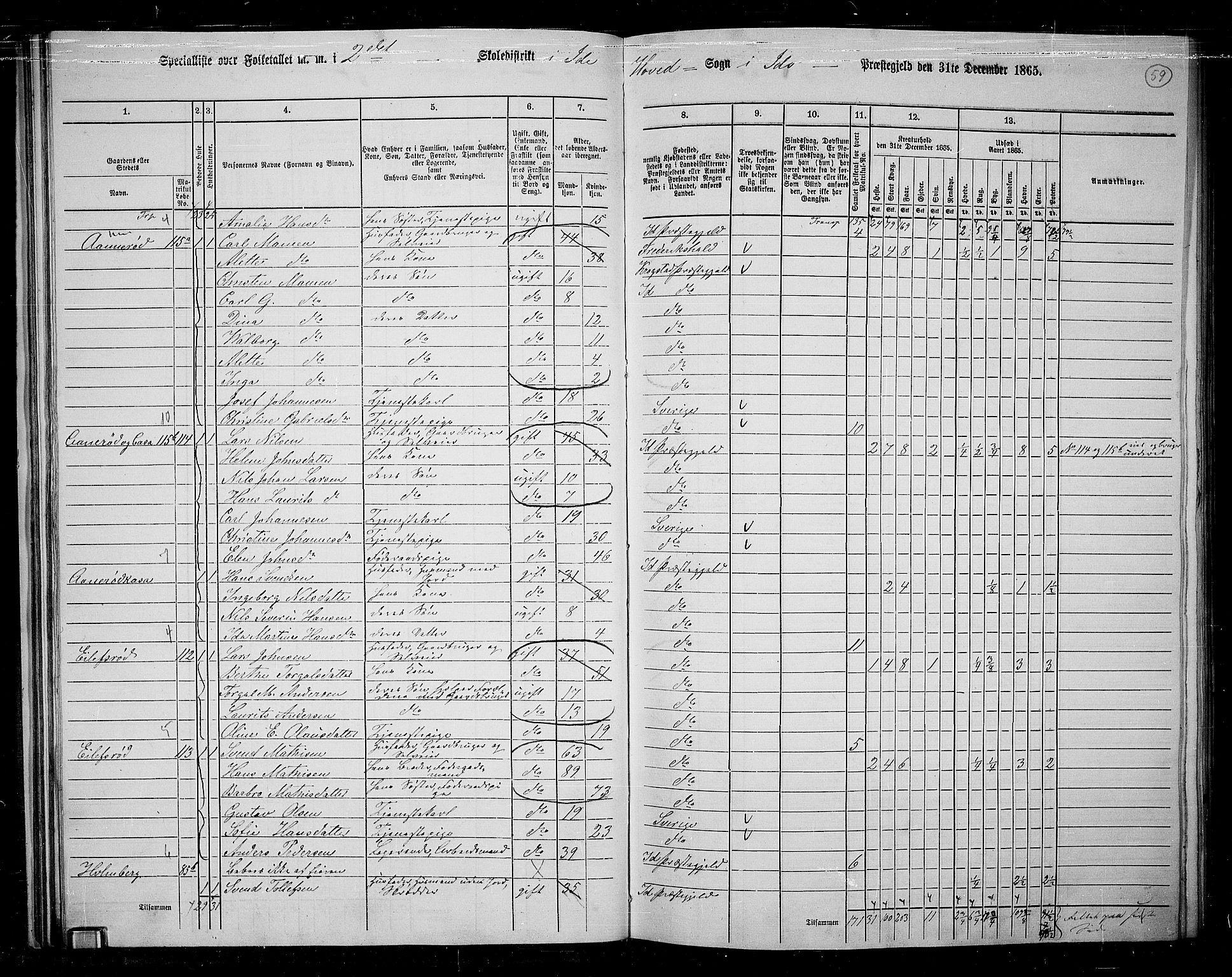 RA, 1865 census for Idd, 1865, p. 51