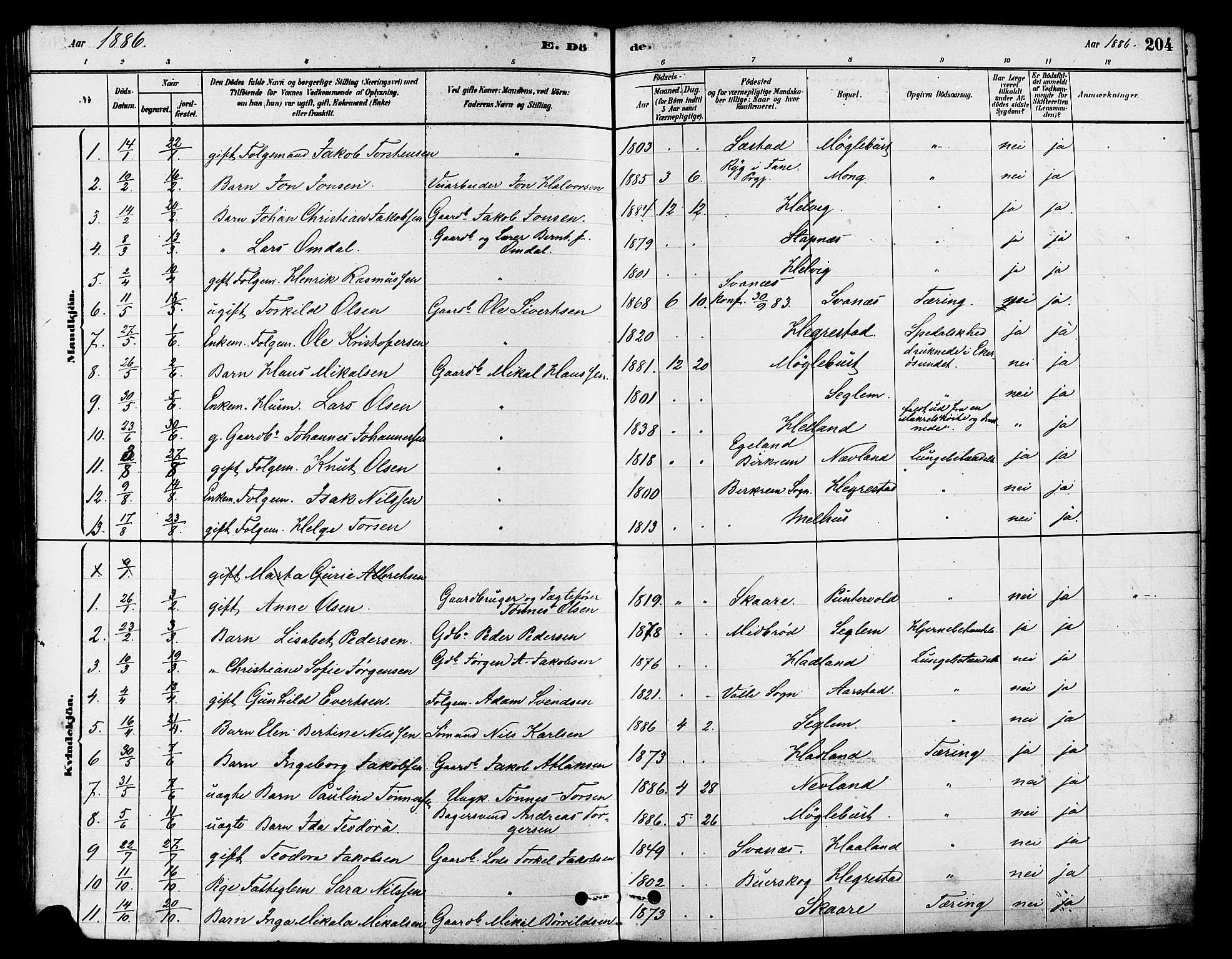 Eigersund sokneprestkontor, AV/SAST-A-101807/S08/L0017: Parish register (official) no. A 14, 1879-1892, p. 204