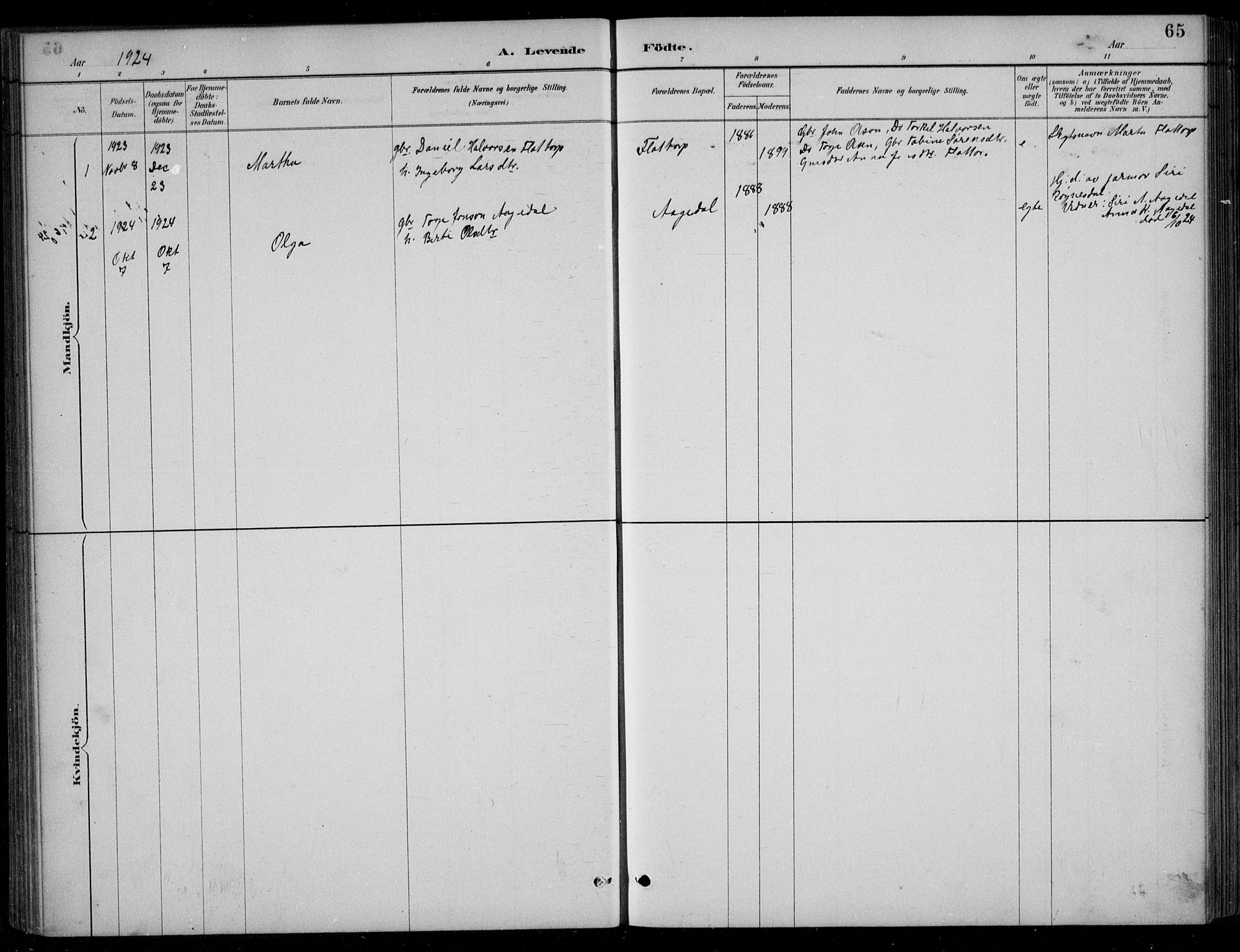 Bjelland sokneprestkontor, SAK/1111-0005/F/Fb/Fbc/L0003: Parish register (copy) no. B 3, 1887-1924, p. 65
