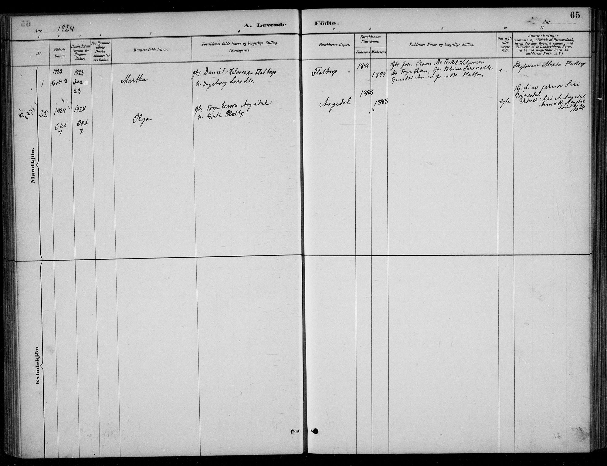 Bjelland sokneprestkontor, AV/SAK-1111-0005/F/Fb/Fbc/L0003: Parish register (copy) no. B 3, 1887-1924, p. 65