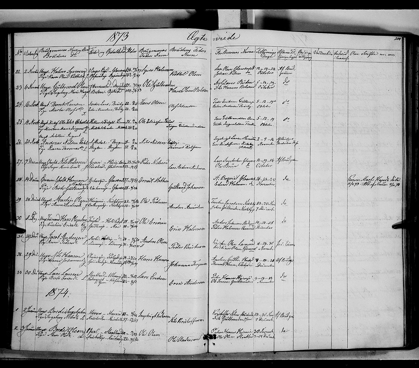 Jevnaker prestekontor, AV/SAH-PREST-116/H/Ha/Haa/L0007: Parish register (official) no. 7, 1858-1876, p. 204