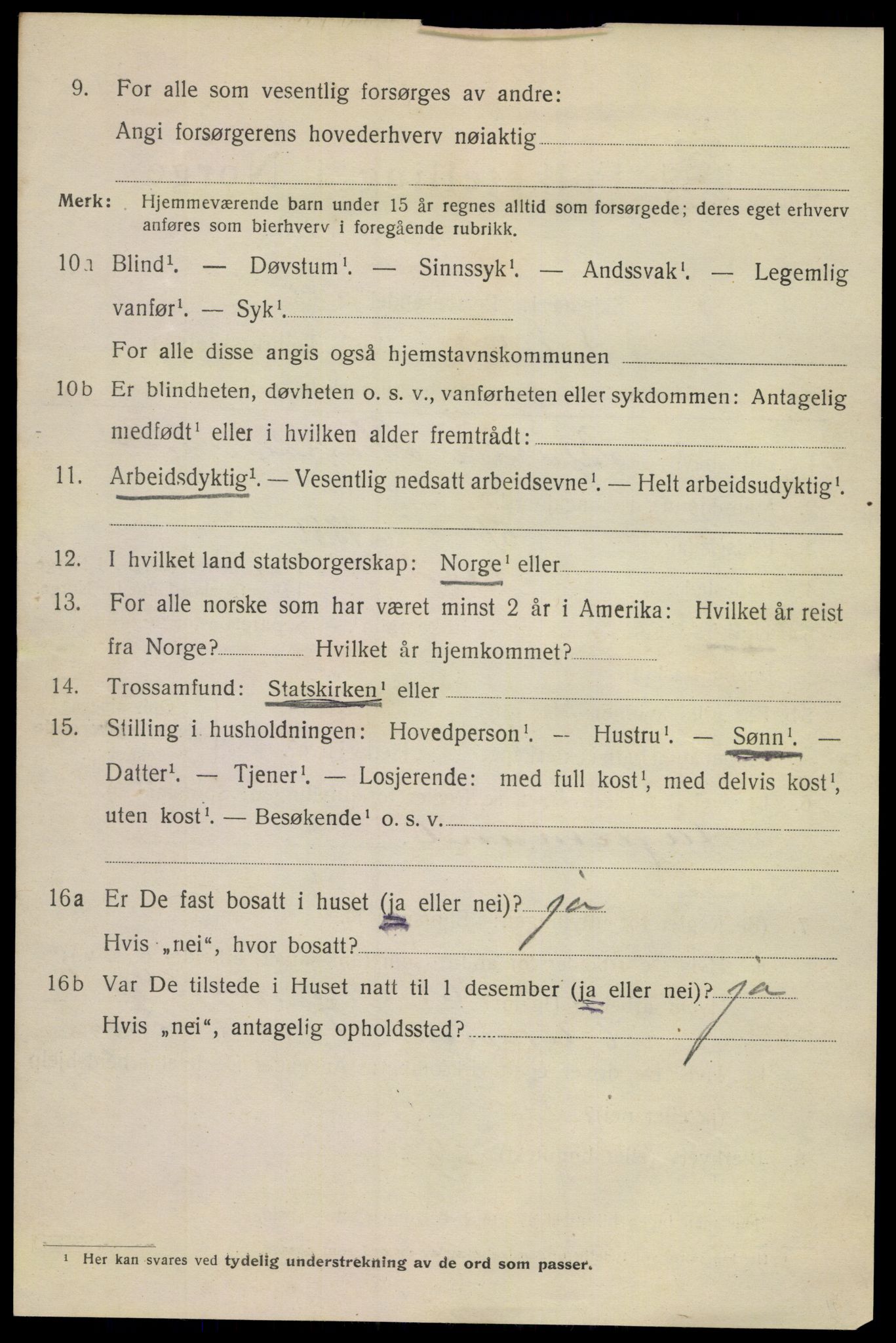 SAKO, 1920 census for Skien, 1920, p. 15175