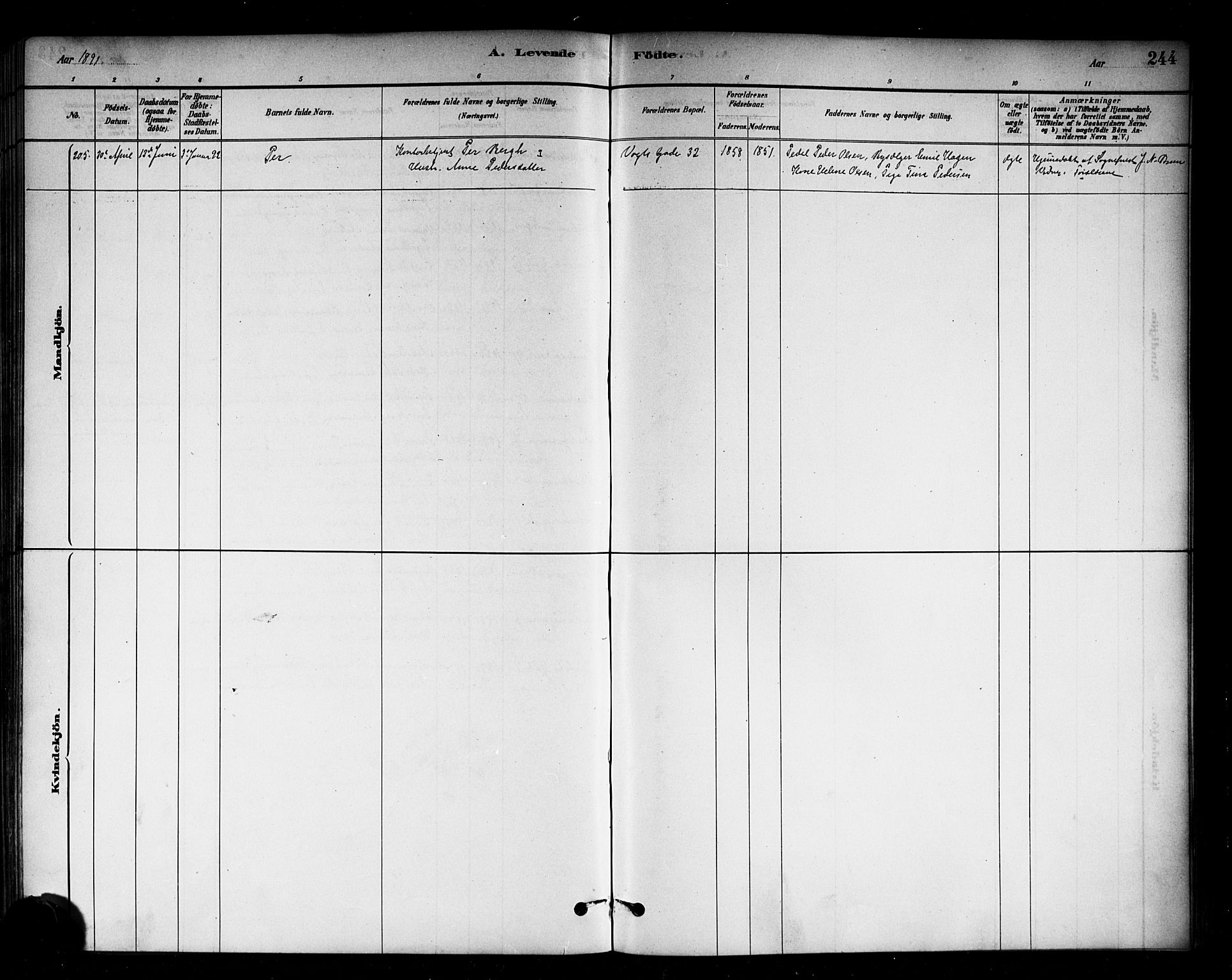 Sagene prestekontor Kirkebøker, SAO/A-10796/G/L0001: Parish register (copy) no. 1, 1880-1891, p. 244