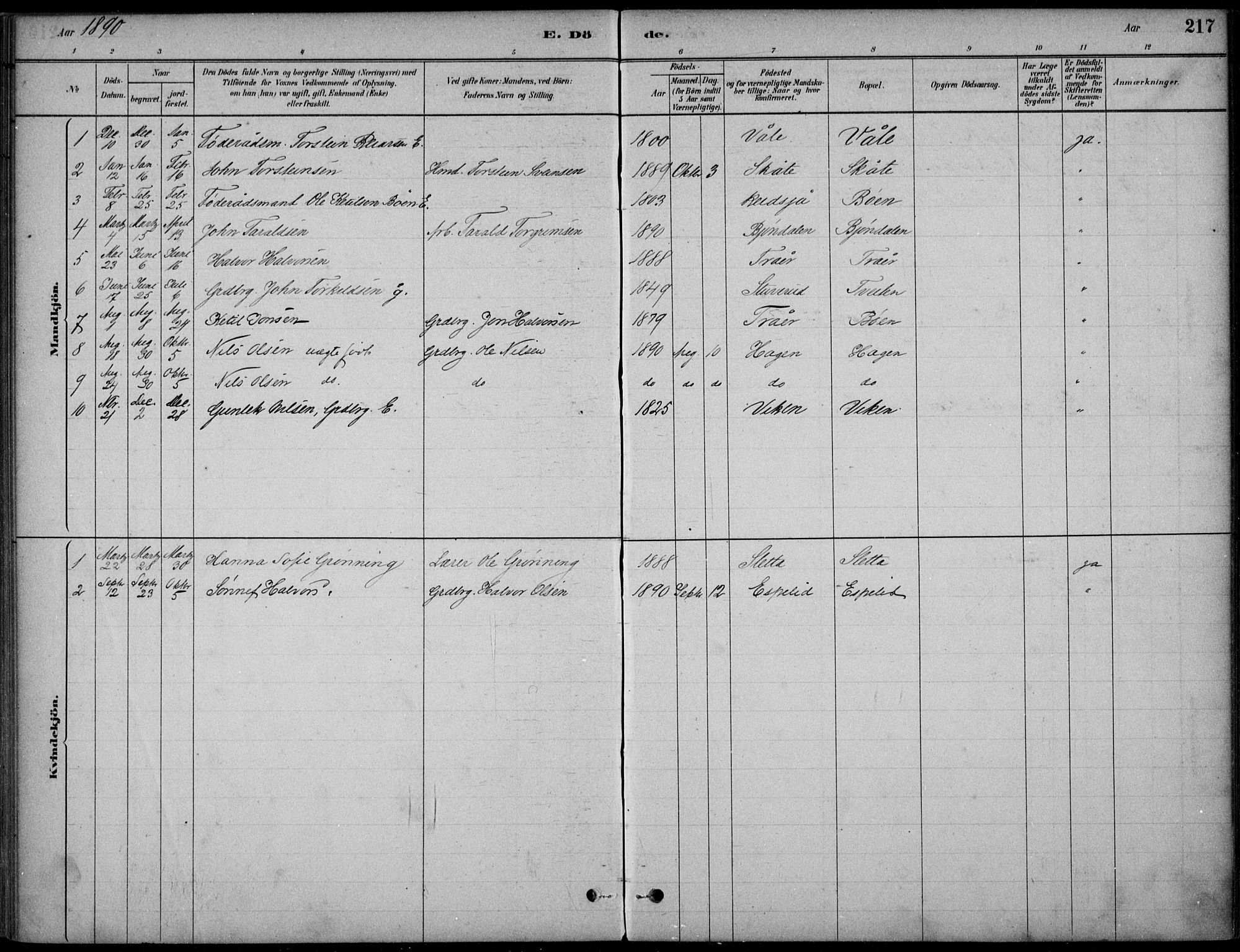 Hjartdal kirkebøker, AV/SAKO-A-270/F/Fc/L0002: Parish register (official) no. III 2, 1880-1936, p. 217