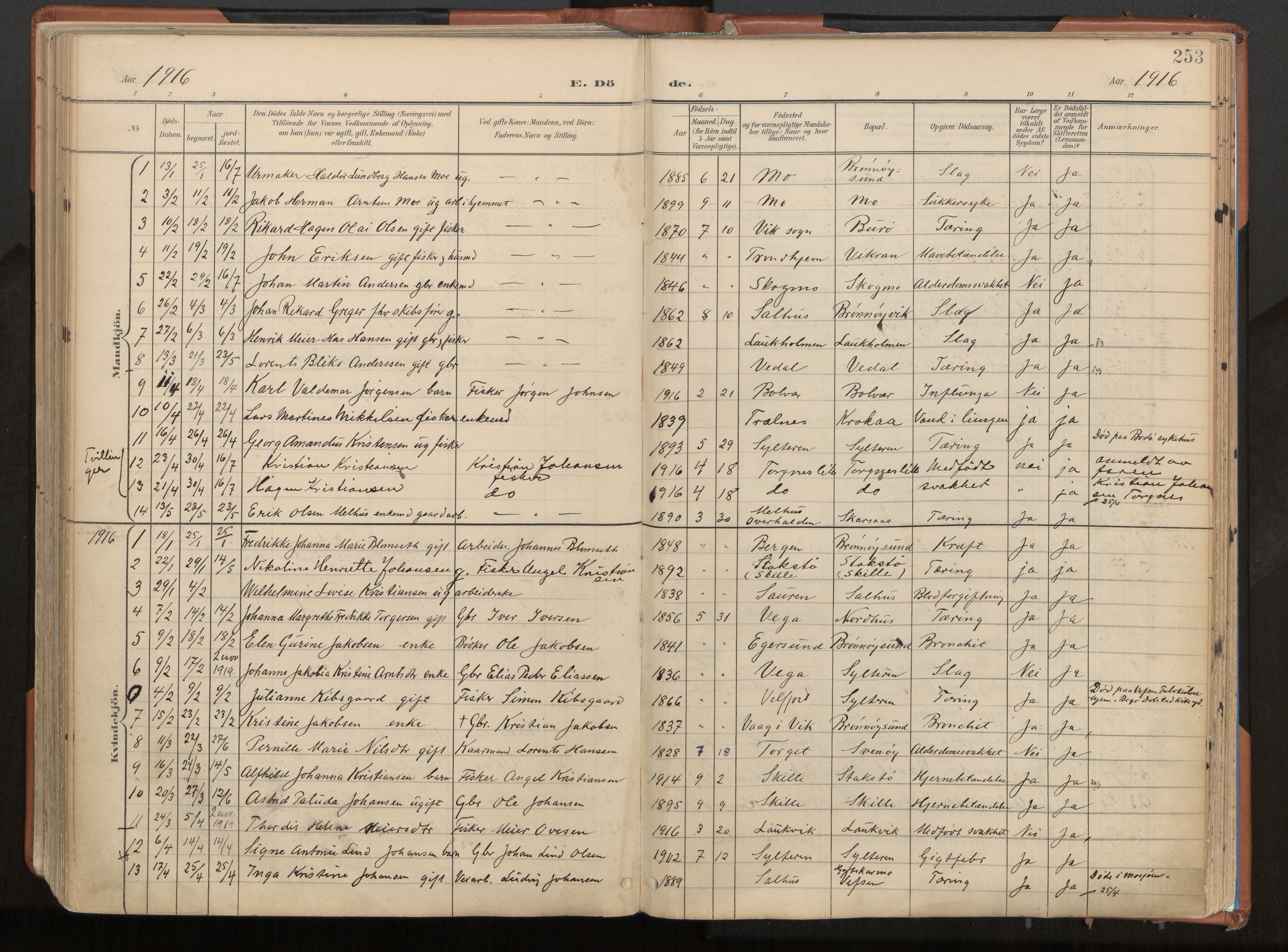 Ministerialprotokoller, klokkerbøker og fødselsregistre - Nordland, SAT/A-1459/813/L0201: Parish register (official) no. 813A11, 1901-1918, p. 253