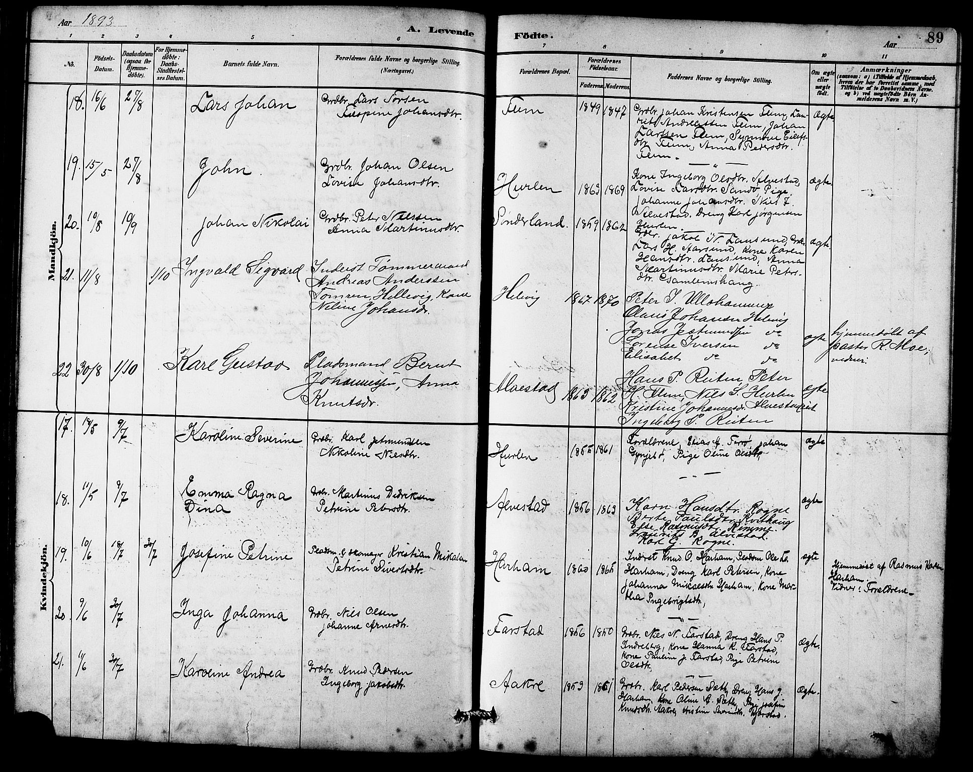 Ministerialprotokoller, klokkerbøker og fødselsregistre - Møre og Romsdal, SAT/A-1454/536/L0510: Parish register (copy) no. 536C05, 1881-1898, p. 89