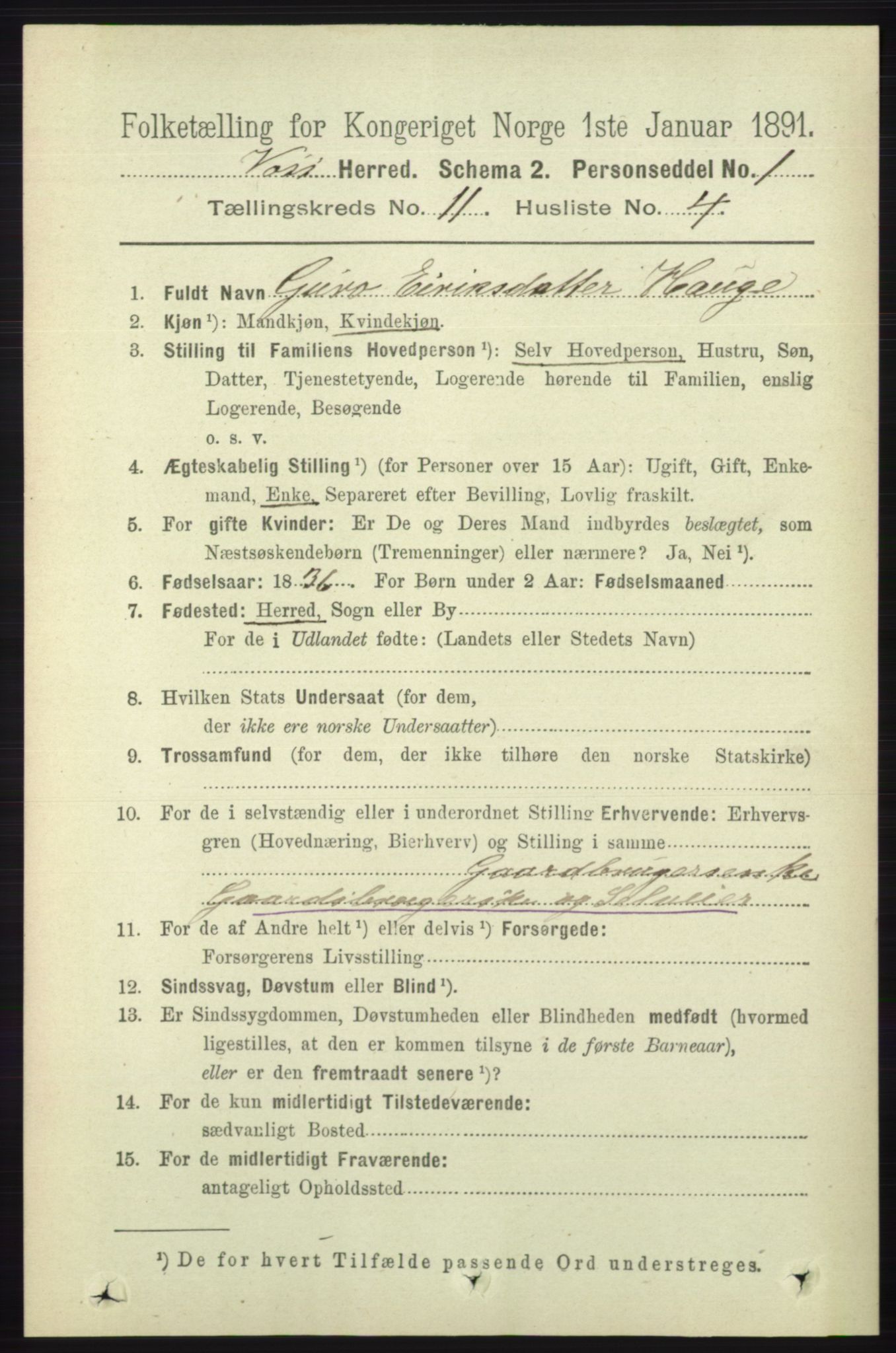 RA, 1891 census for 1235 Voss, 1891, p. 5847