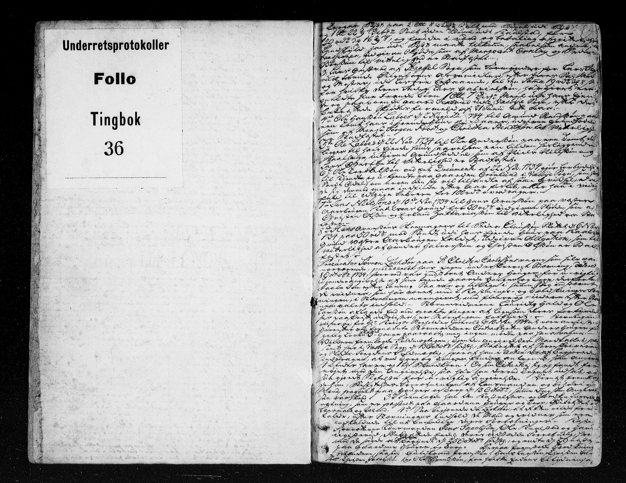 Follo sorenskriveri, SAO/A-10274/F/Fb/Fba/L0036: Tingbok, 1735-1737, p. 2a