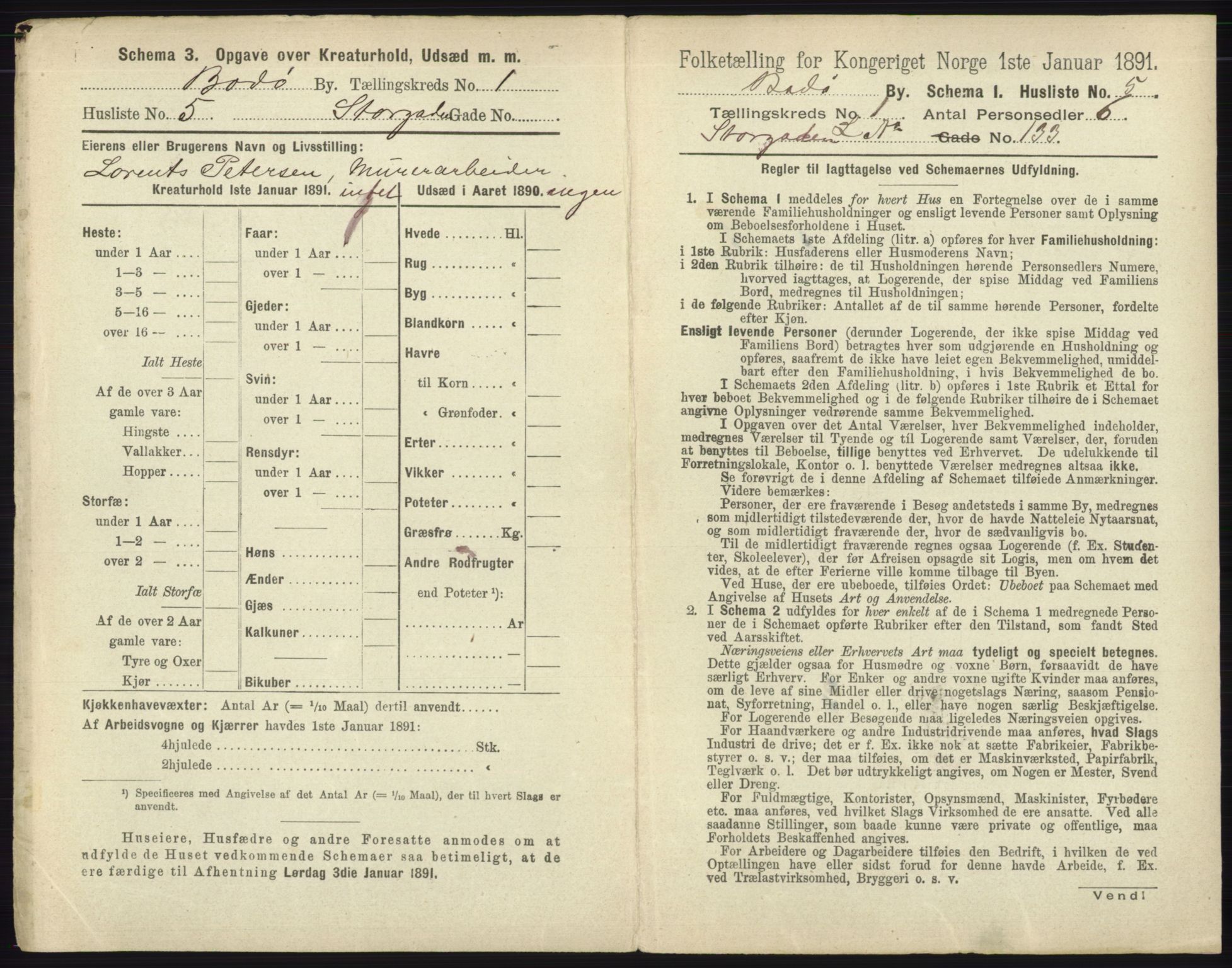 RA, 1891 census for 1804 Bodø, 1891, p. 25