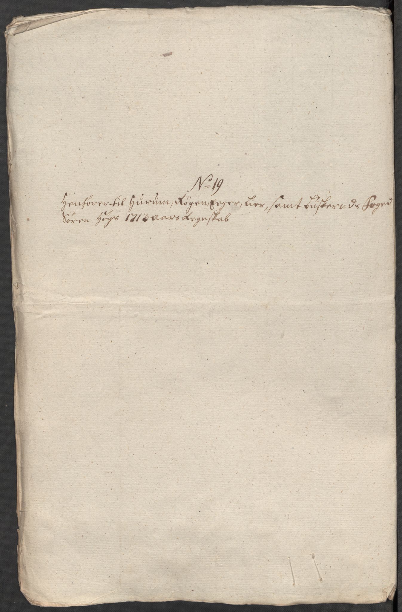 Rentekammeret inntil 1814, Reviderte regnskaper, Fogderegnskap, RA/EA-4092/R31/L1708: Fogderegnskap Hurum, Røyken, Eiker, Lier og Buskerud, 1713, p. 353