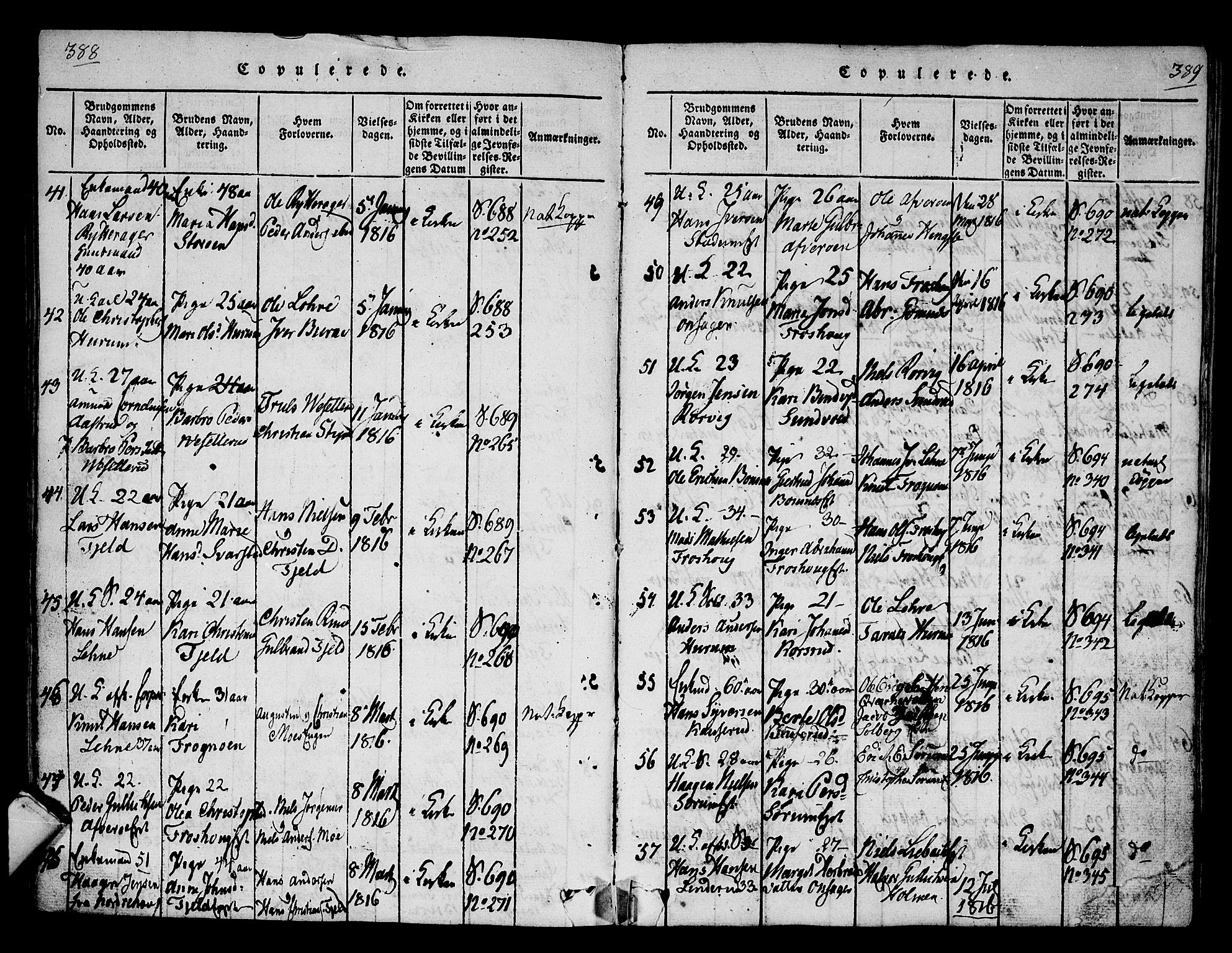 Hole kirkebøker, SAKO/A-228/F/Fa/L0004: Parish register (official) no. I 4, 1814-1833, p. 388-389