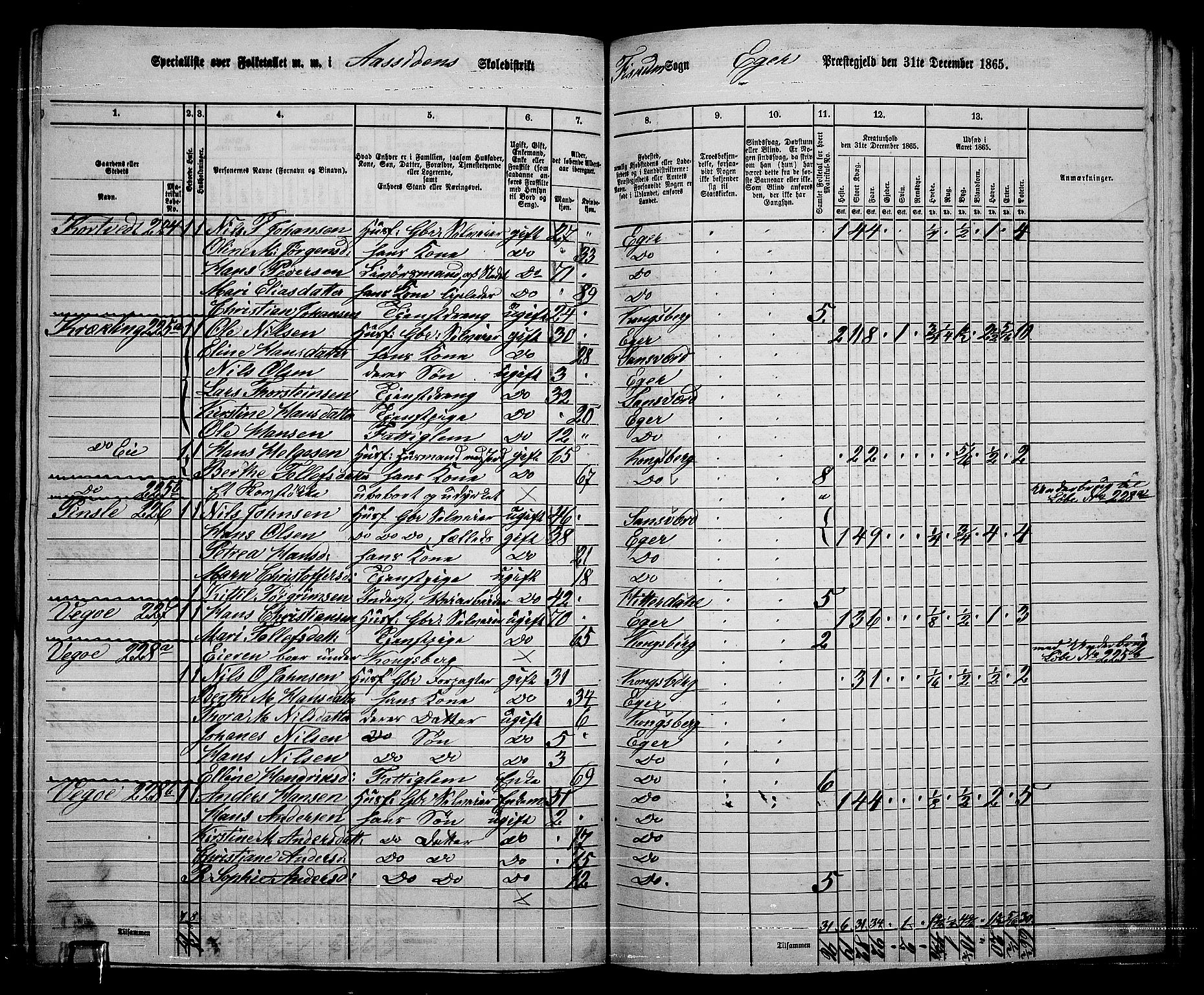 RA, 1865 census for Eiker, 1865, p. 499