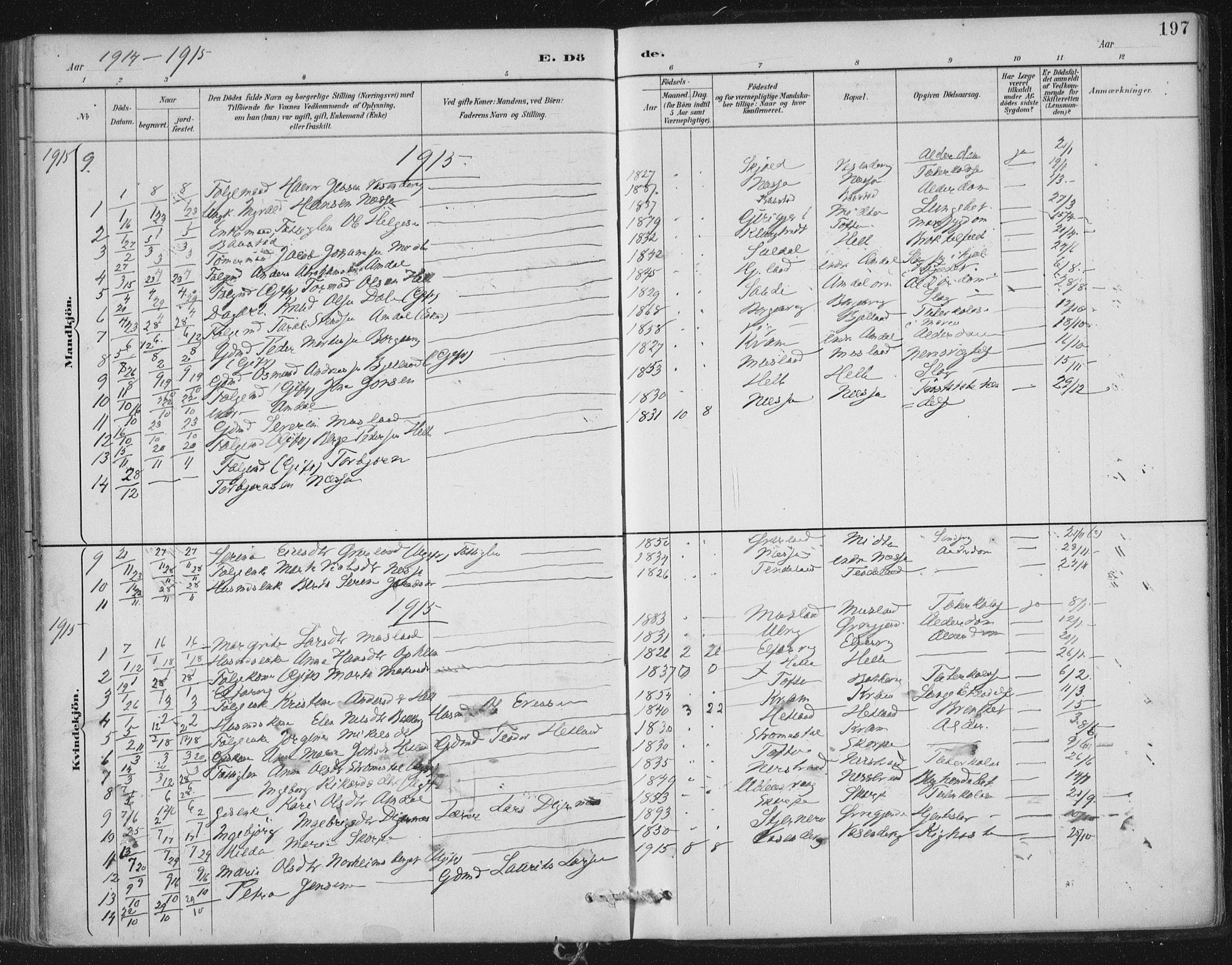 Nedstrand sokneprestkontor, SAST/A-101841/01/IV: Parish register (official) no. A 12, 1887-1915, p. 197