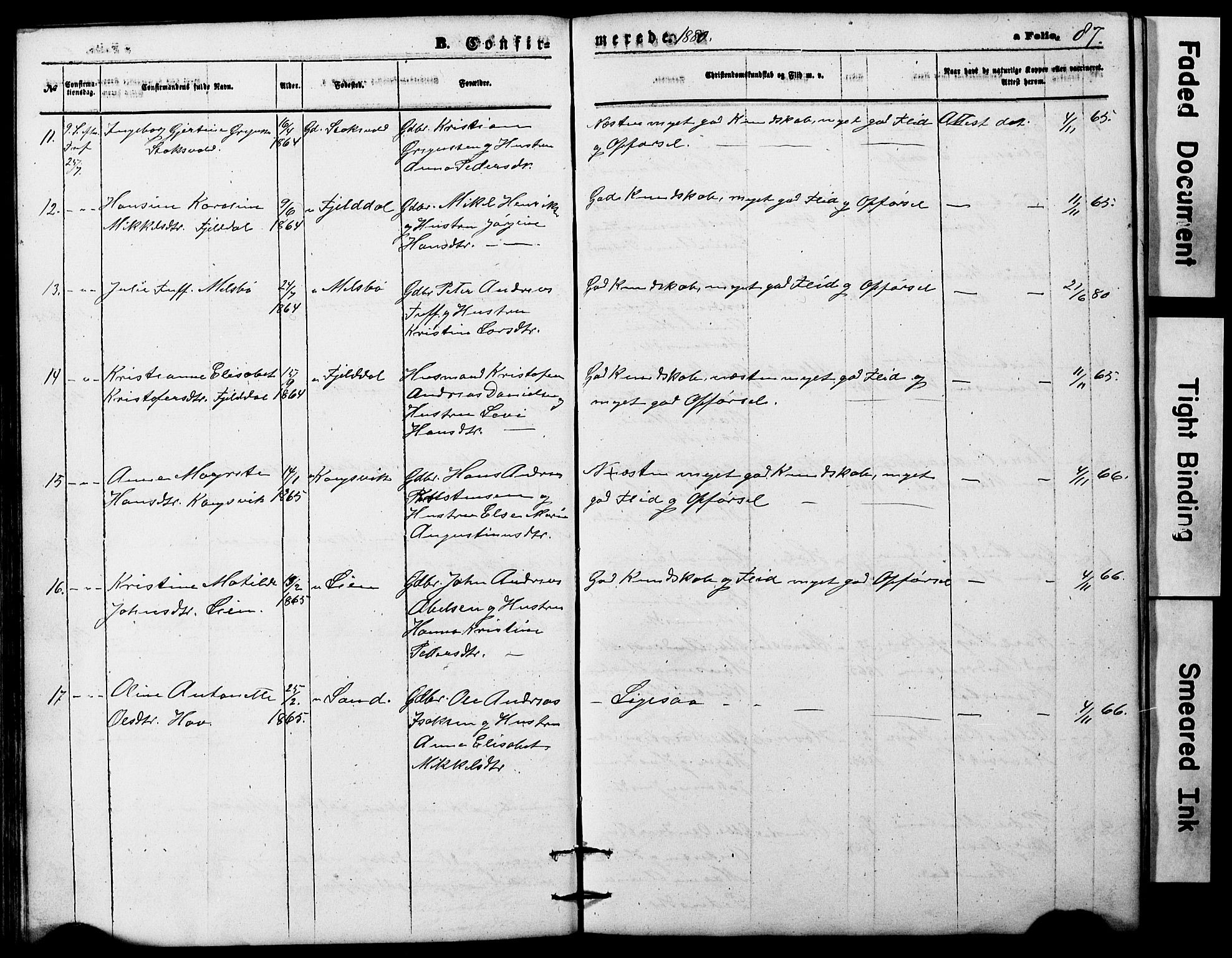 Ministerialprotokoller, klokkerbøker og fødselsregistre - Nordland, SAT/A-1459/865/L0930: Parish register (copy) no. 865C02, 1866-1884, p. 87