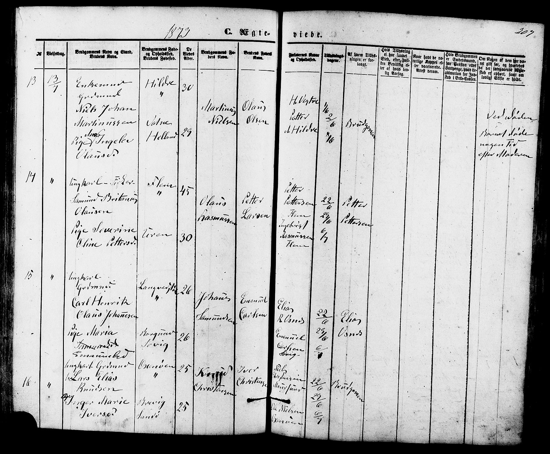 Ministerialprotokoller, klokkerbøker og fødselsregistre - Møre og Romsdal, AV/SAT-A-1454/536/L0500: Parish register (official) no. 536A09, 1876-1889, p. 207