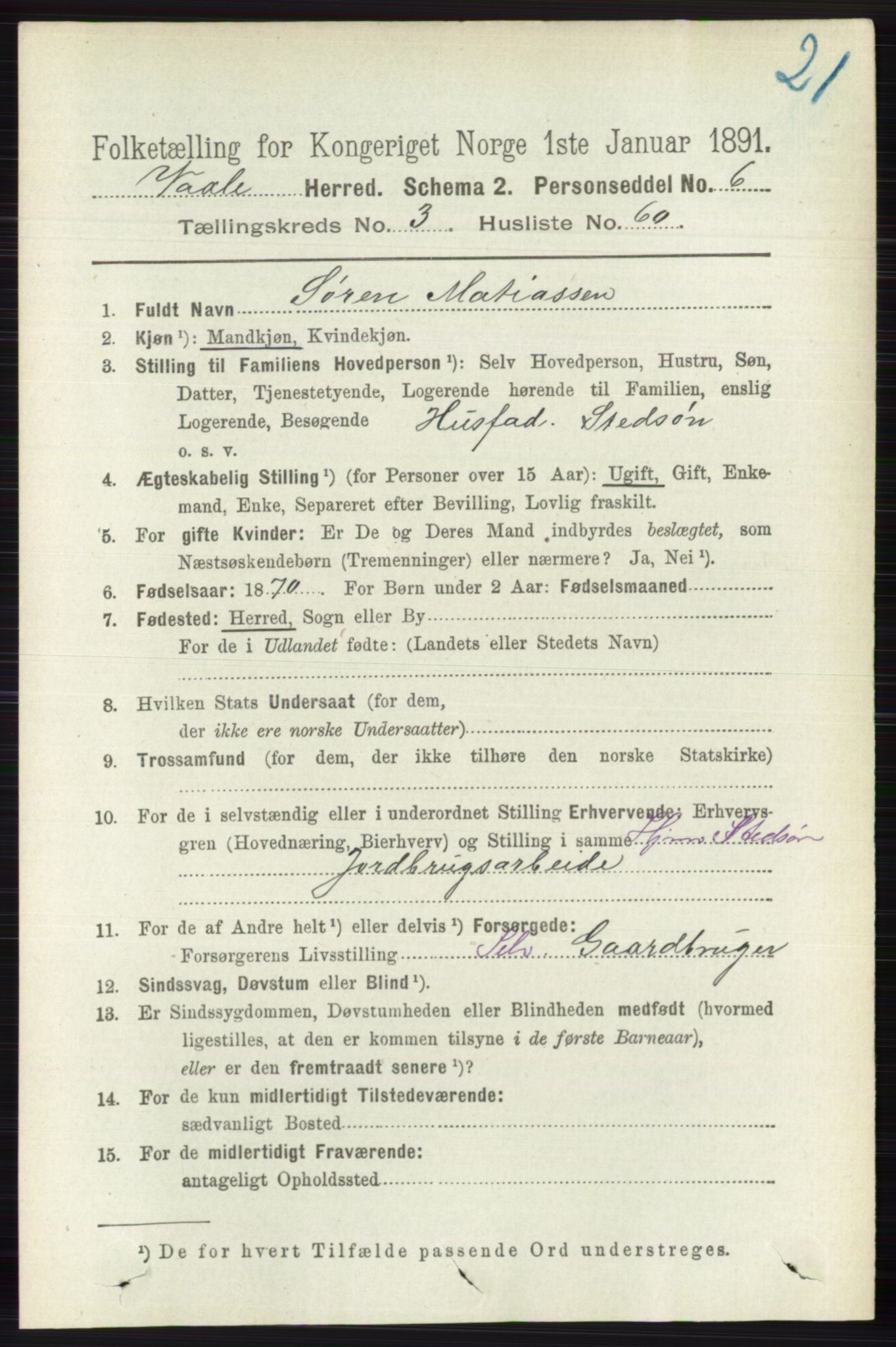 RA, 1891 census for 0716 Våle, 1891, p. 903