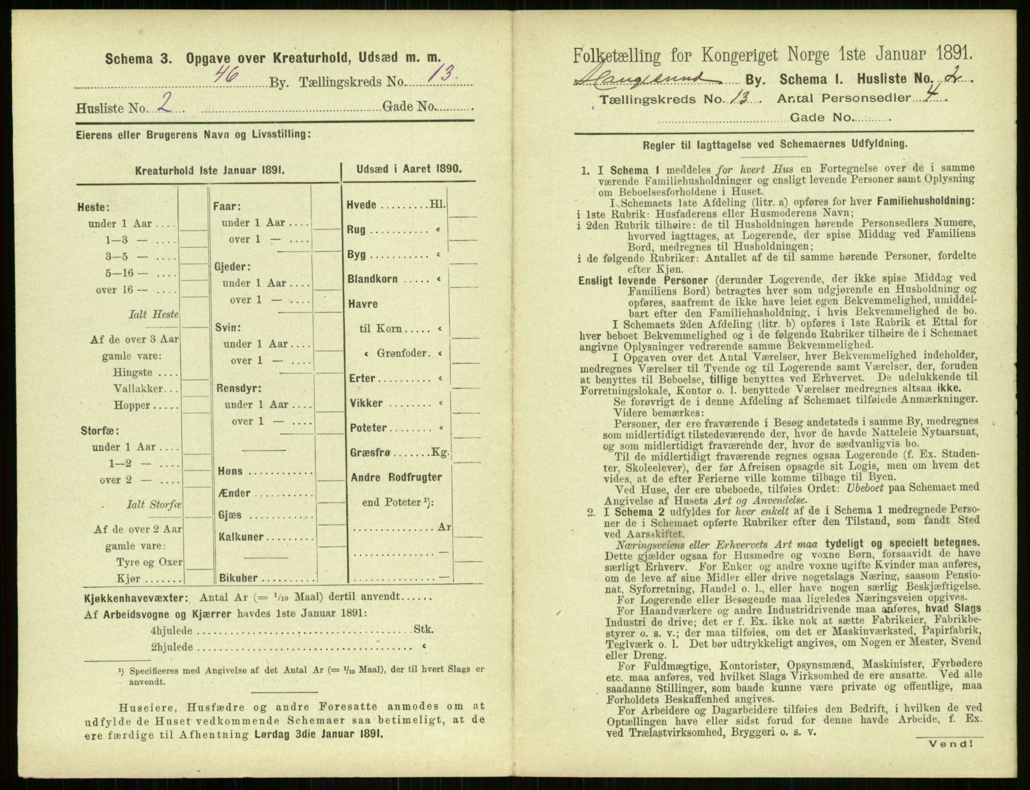 RA, 1891 census for 1106 Haugesund, 1891, p. 842