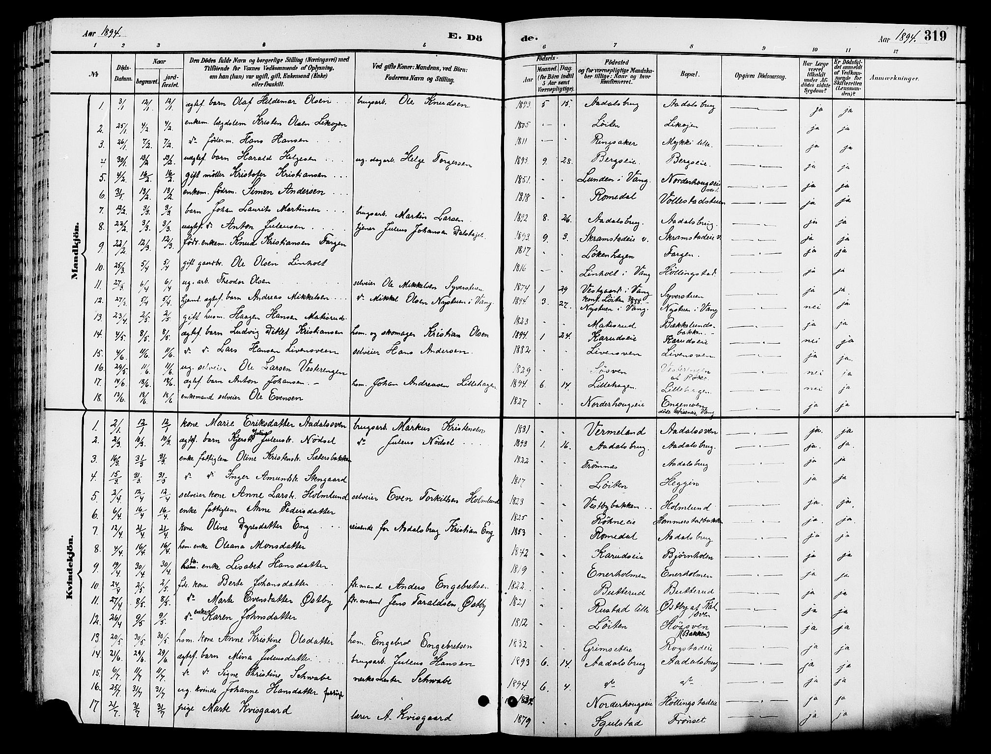 Løten prestekontor, AV/SAH-PREST-022/L/La/L0006: Parish register (copy) no. 6, 1892-1909, p. 319