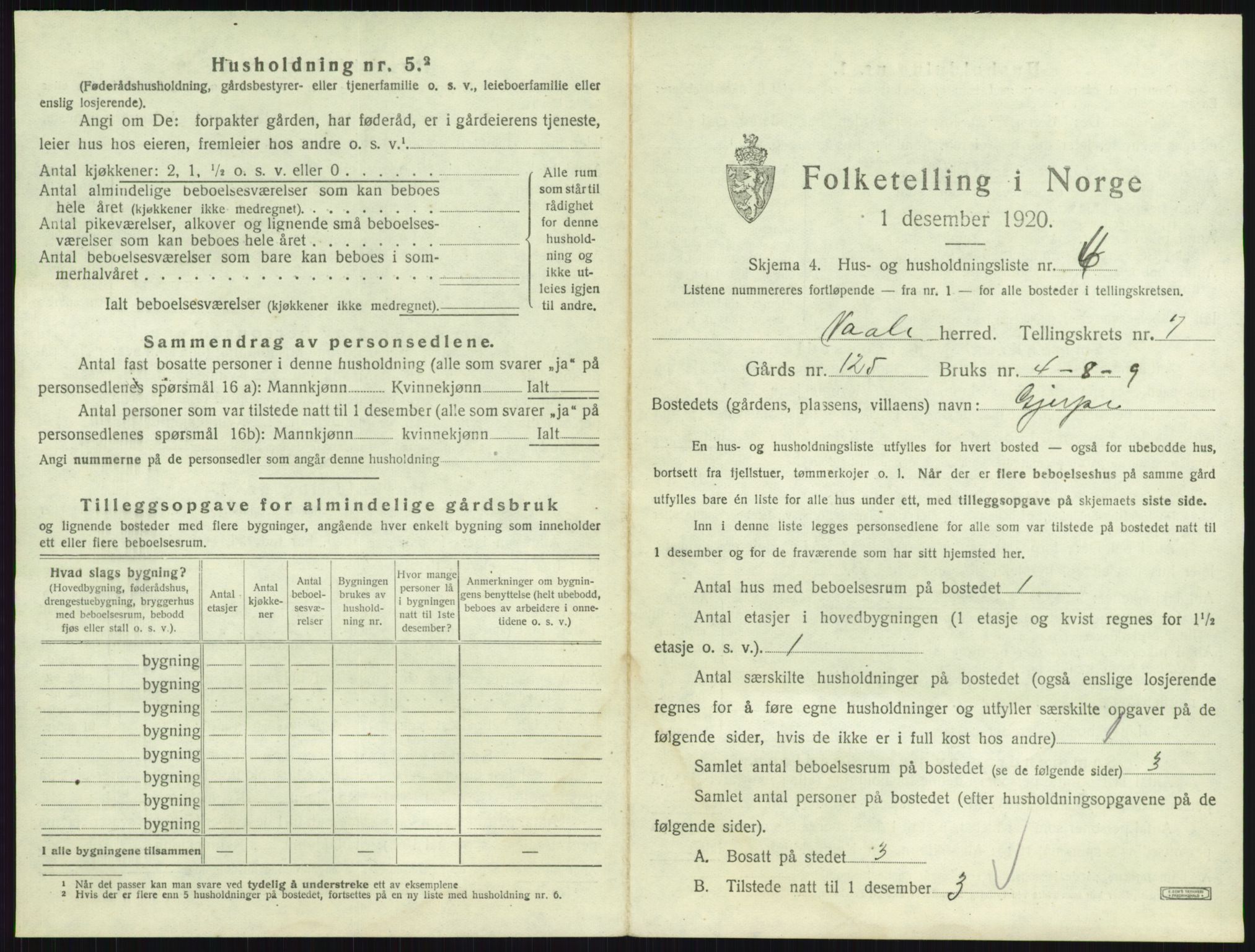 SAKO, 1920 census for Våle, 1920, p. 867