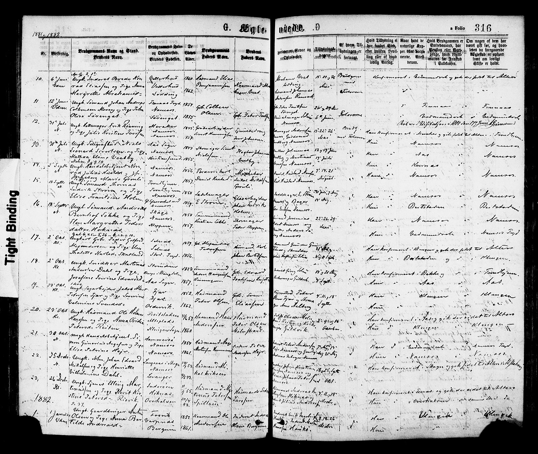 Ministerialprotokoller, klokkerbøker og fødselsregistre - Nord-Trøndelag, SAT/A-1458/768/L0572: Parish register (official) no. 768A07, 1874-1886, p. 316