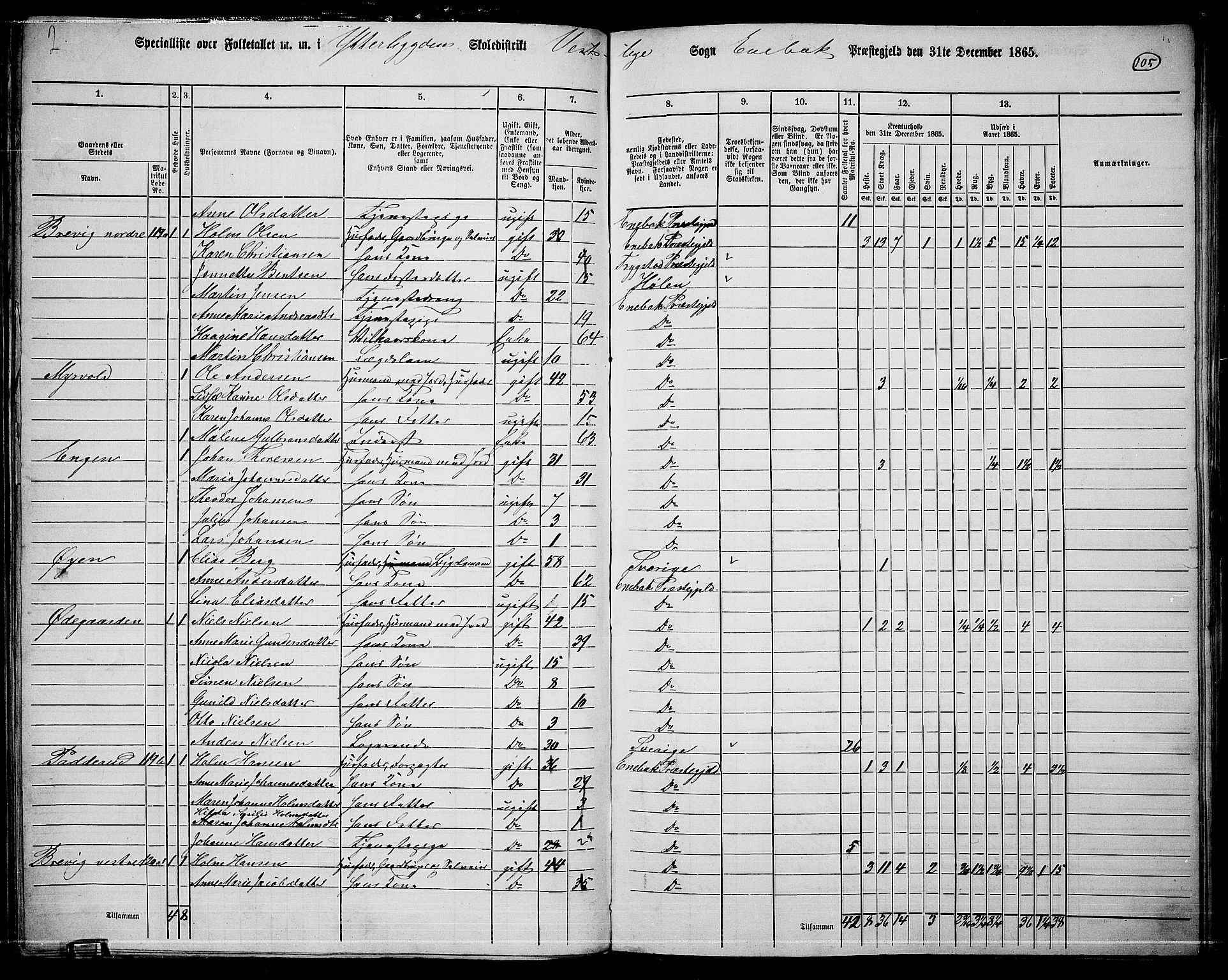 RA, 1865 census for Enebakk, 1865, p. 91