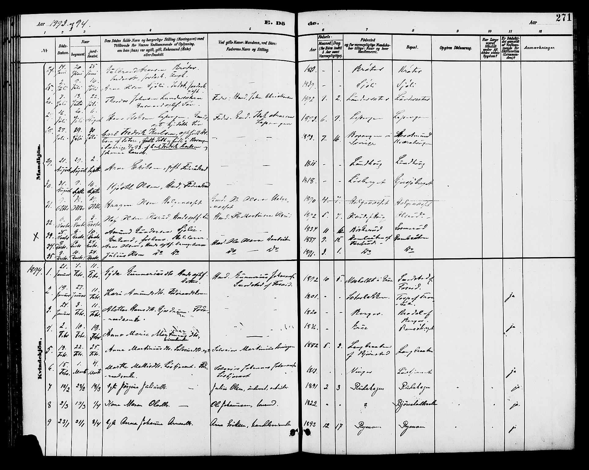 Brandval prestekontor, SAH/PREST-034/H/Ha/Haa/L0002: Parish register (official) no. 2, 1880-1894, p. 271