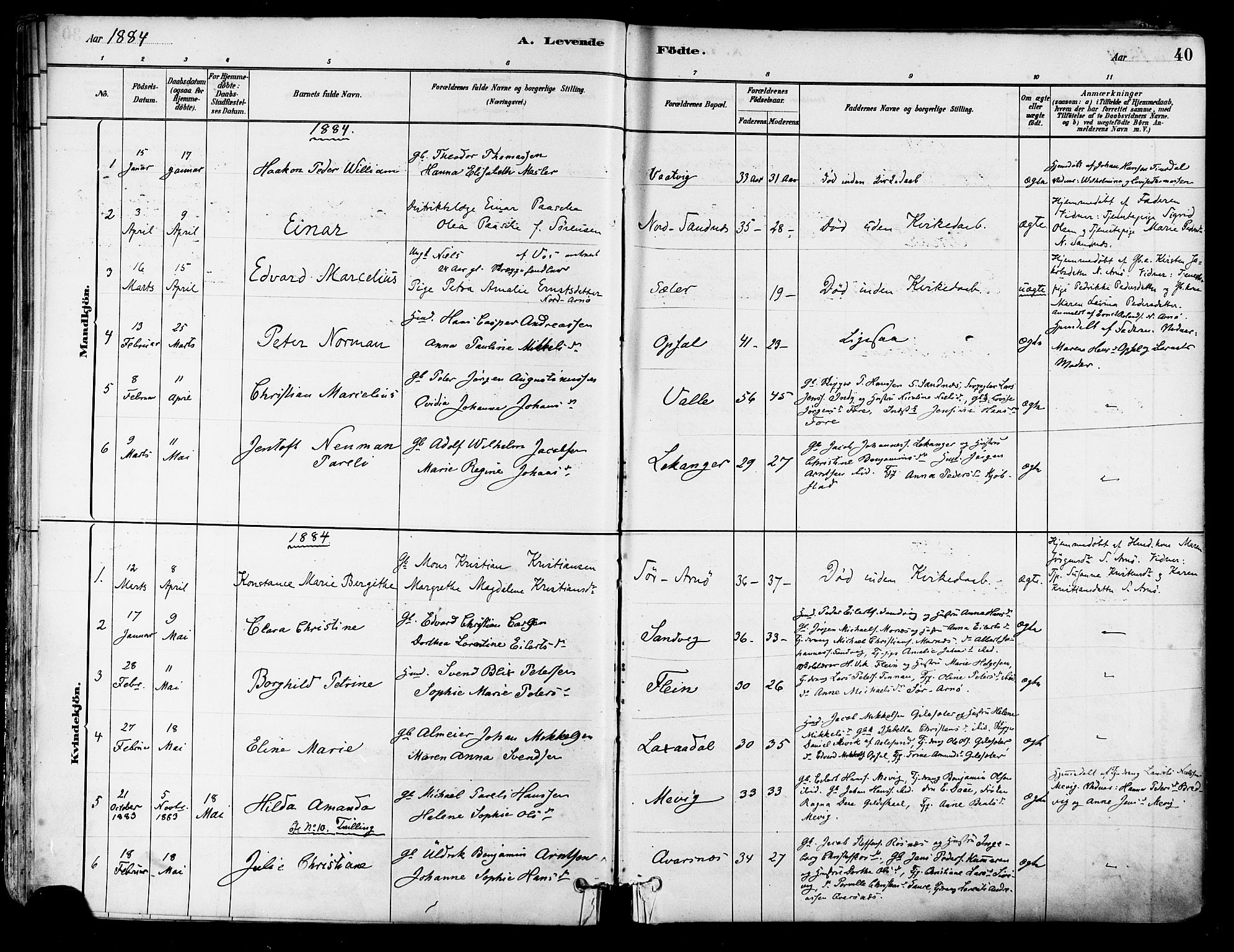 Ministerialprotokoller, klokkerbøker og fødselsregistre - Nordland, AV/SAT-A-1459/805/L0099: Parish register (official) no. 805A06, 1880-1891, p. 40