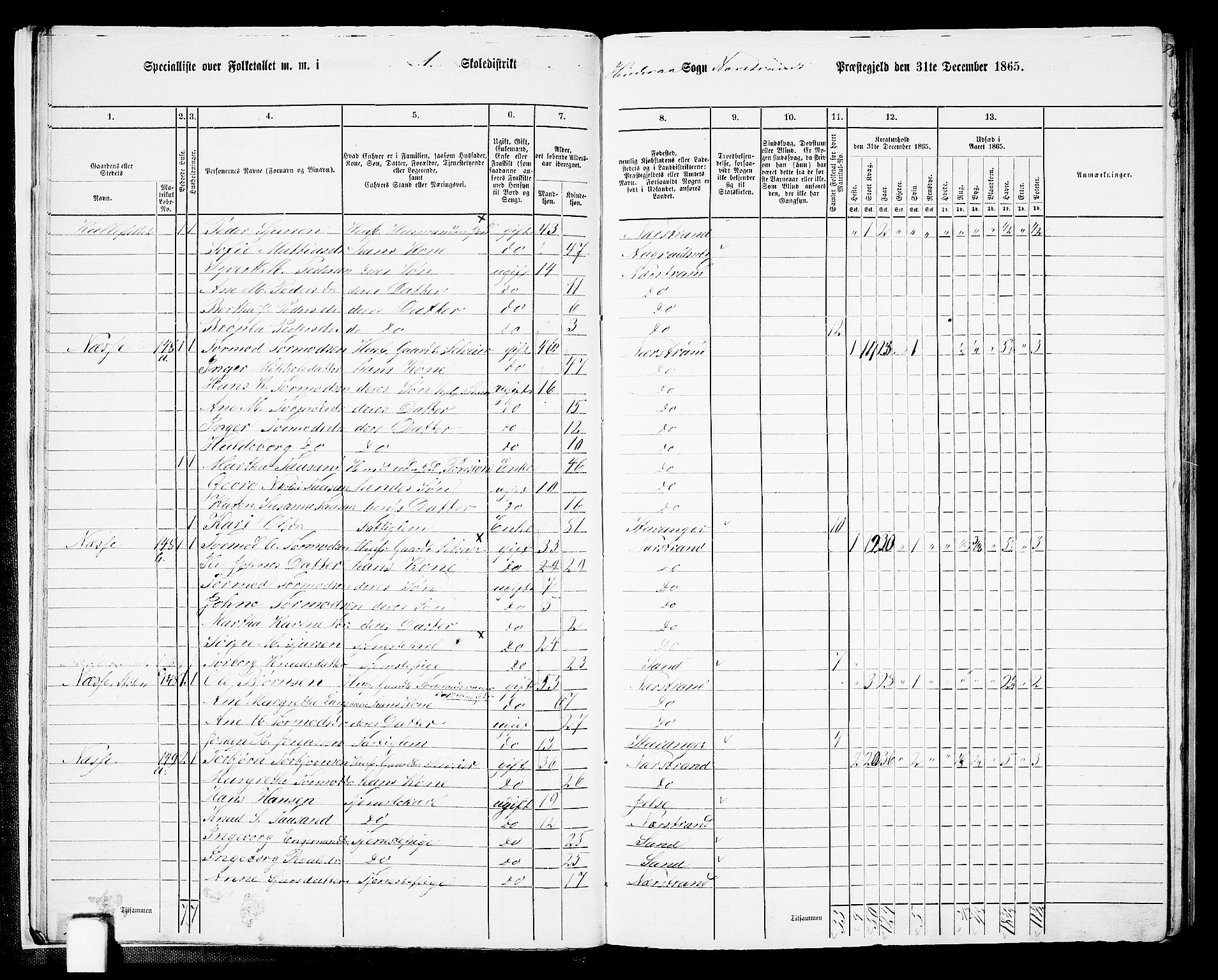 RA, 1865 census for Nedstrand, 1865, p. 17