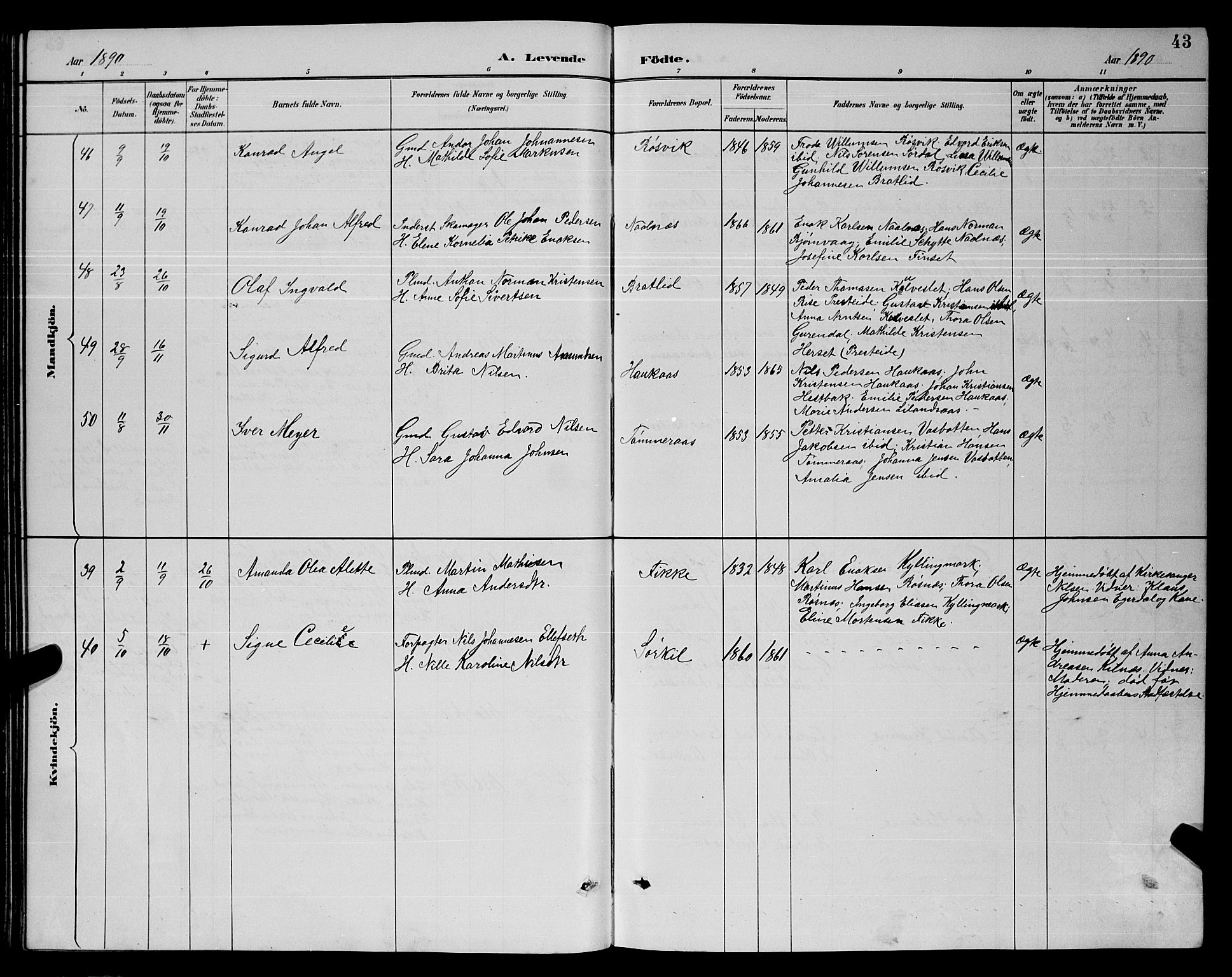 Ministerialprotokoller, klokkerbøker og fødselsregistre - Nordland, SAT/A-1459/859/L0859: Parish register (copy) no. 859C05, 1887-1898, p. 43