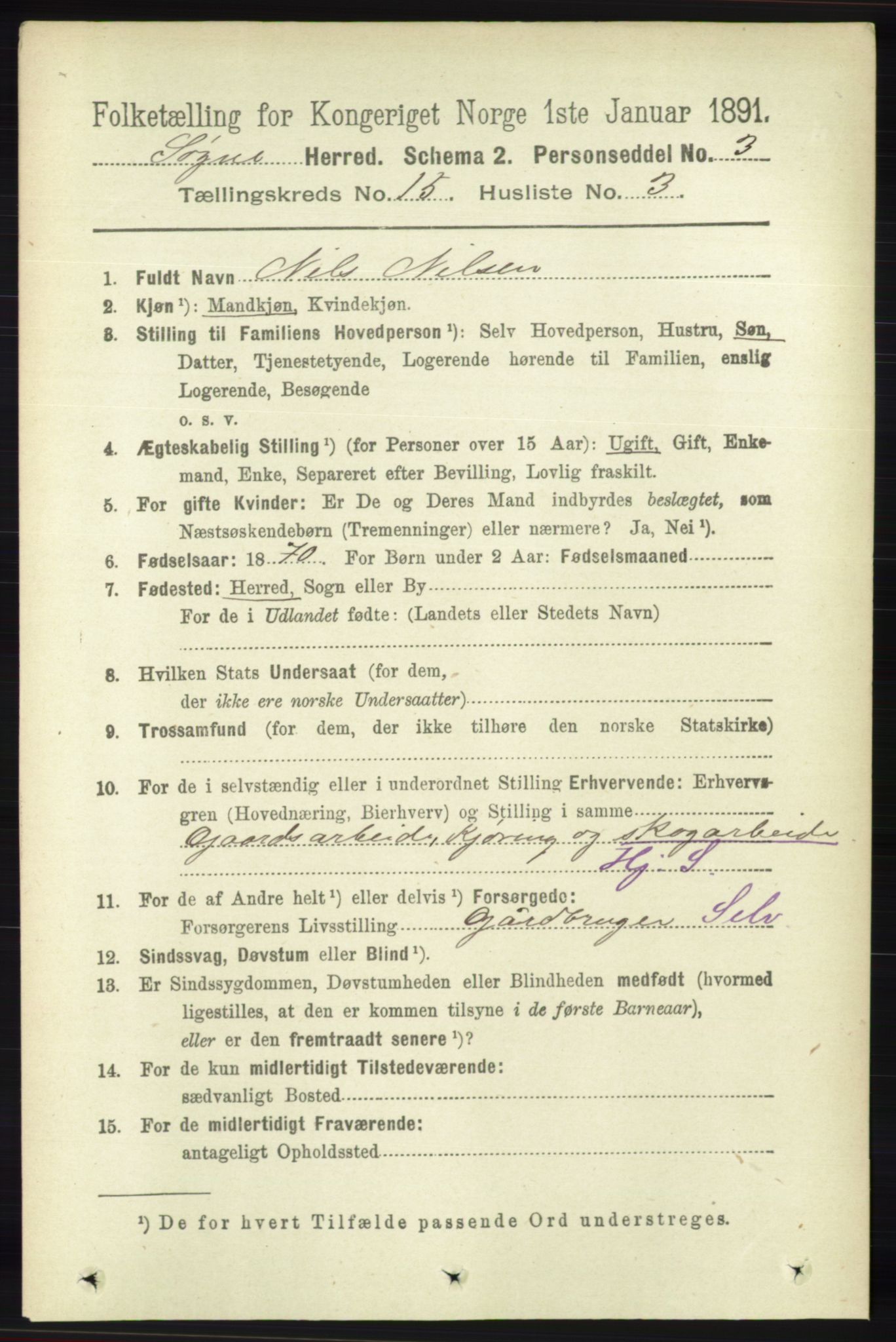 RA, 1891 census for 1018 Søgne, 1891, p. 3907