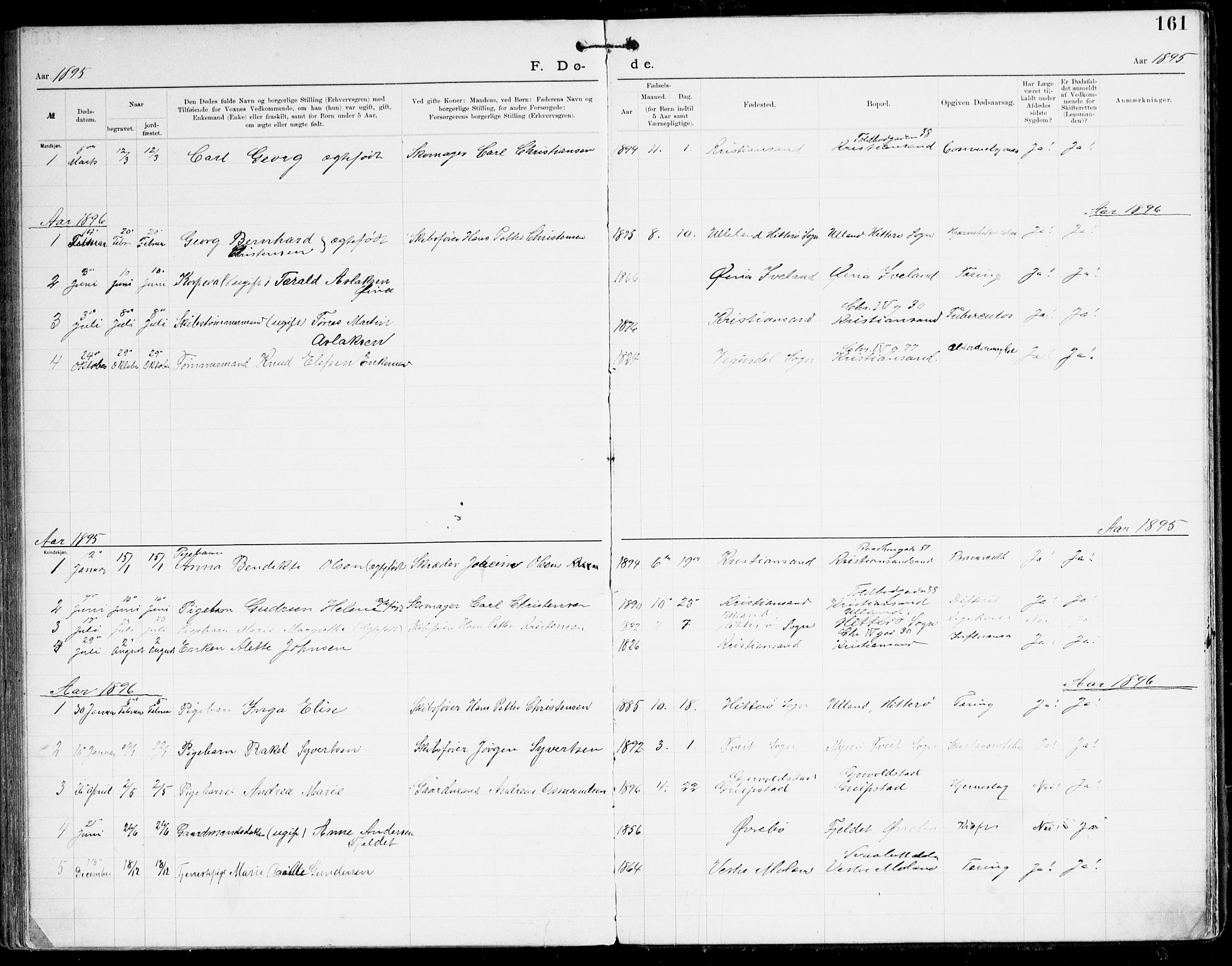 Den evangelisk-lutherske frikirke, Kristiansand, AV/SAK-1292-0017/F/Fa/L0003: Dissenter register no. F 11, 1892-1925, p. 161