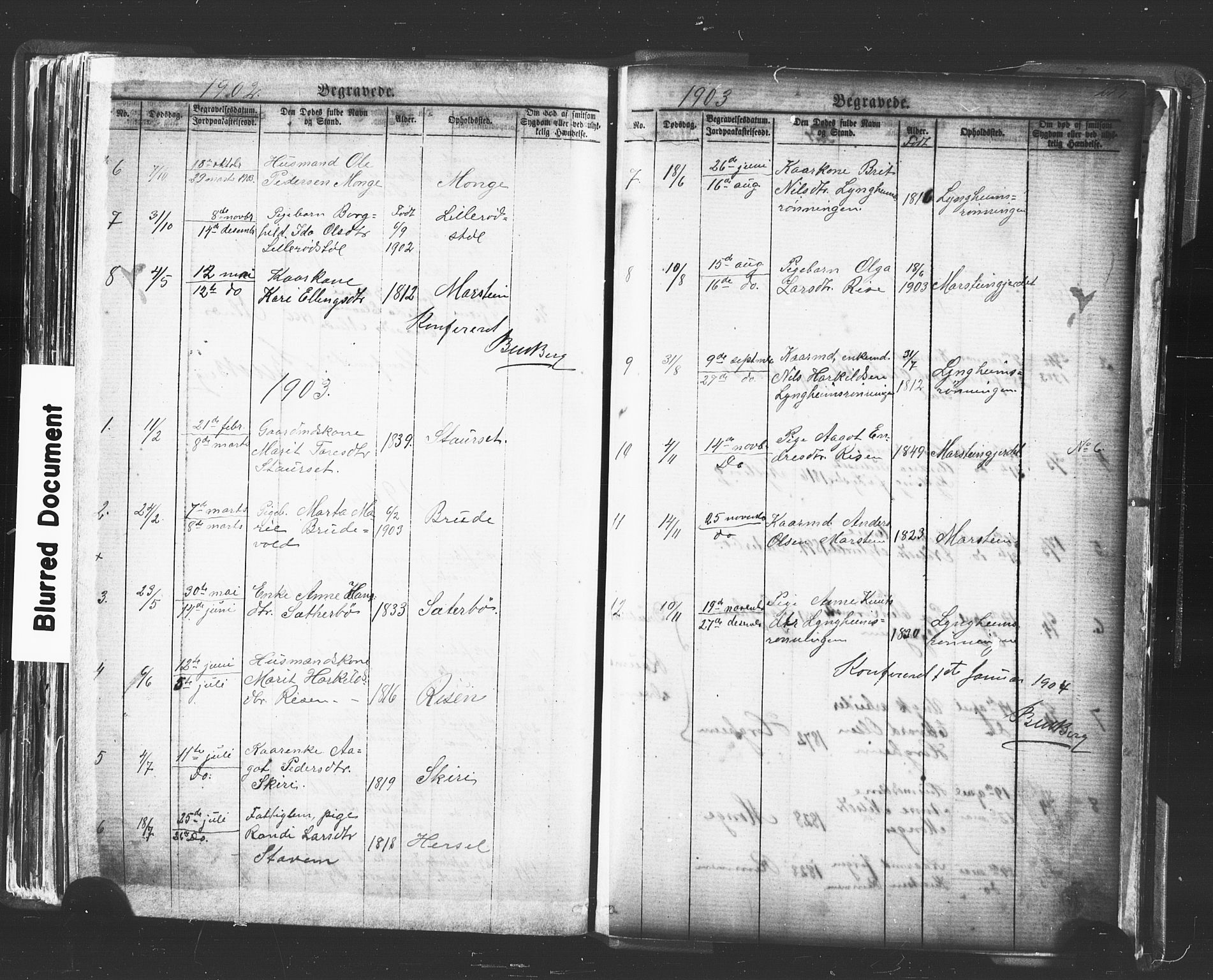 Ministerialprotokoller, klokkerbøker og fødselsregistre - Møre og Romsdal, AV/SAT-A-1454/546/L0596: Parish register (copy) no. 546C02, 1867-1921, p. 255