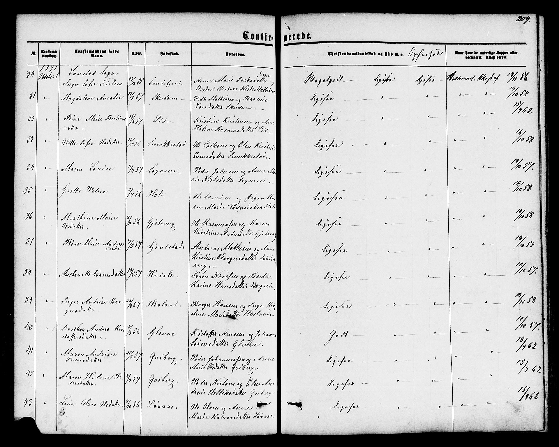 Lardal kirkebøker, AV/SAKO-A-350/F/Fa/L0007: Parish register (official) no. I 7, 1861-1880, p. 209