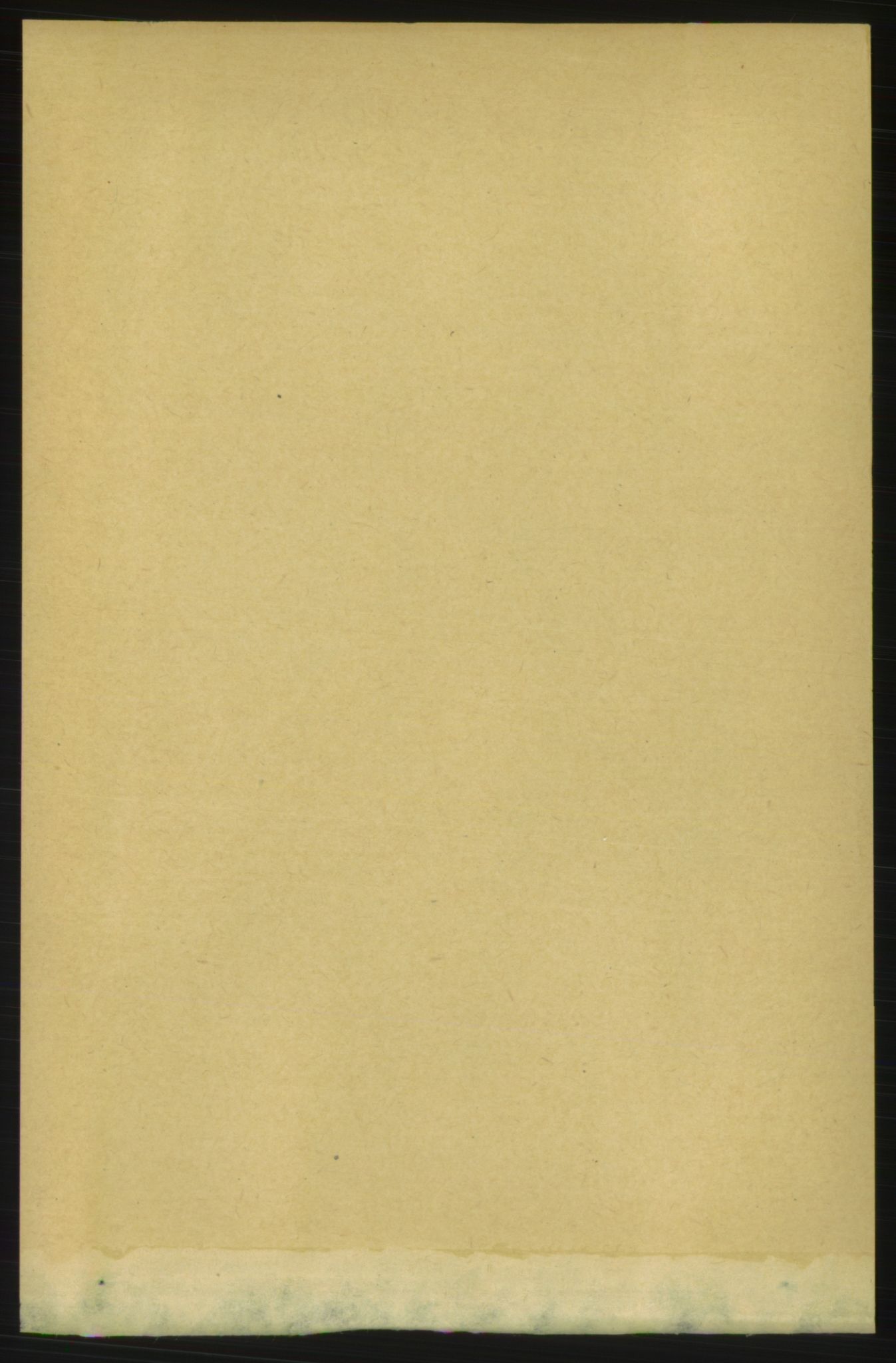 RA, 1891 census for 1660 Strinda, 1891, p. 5294