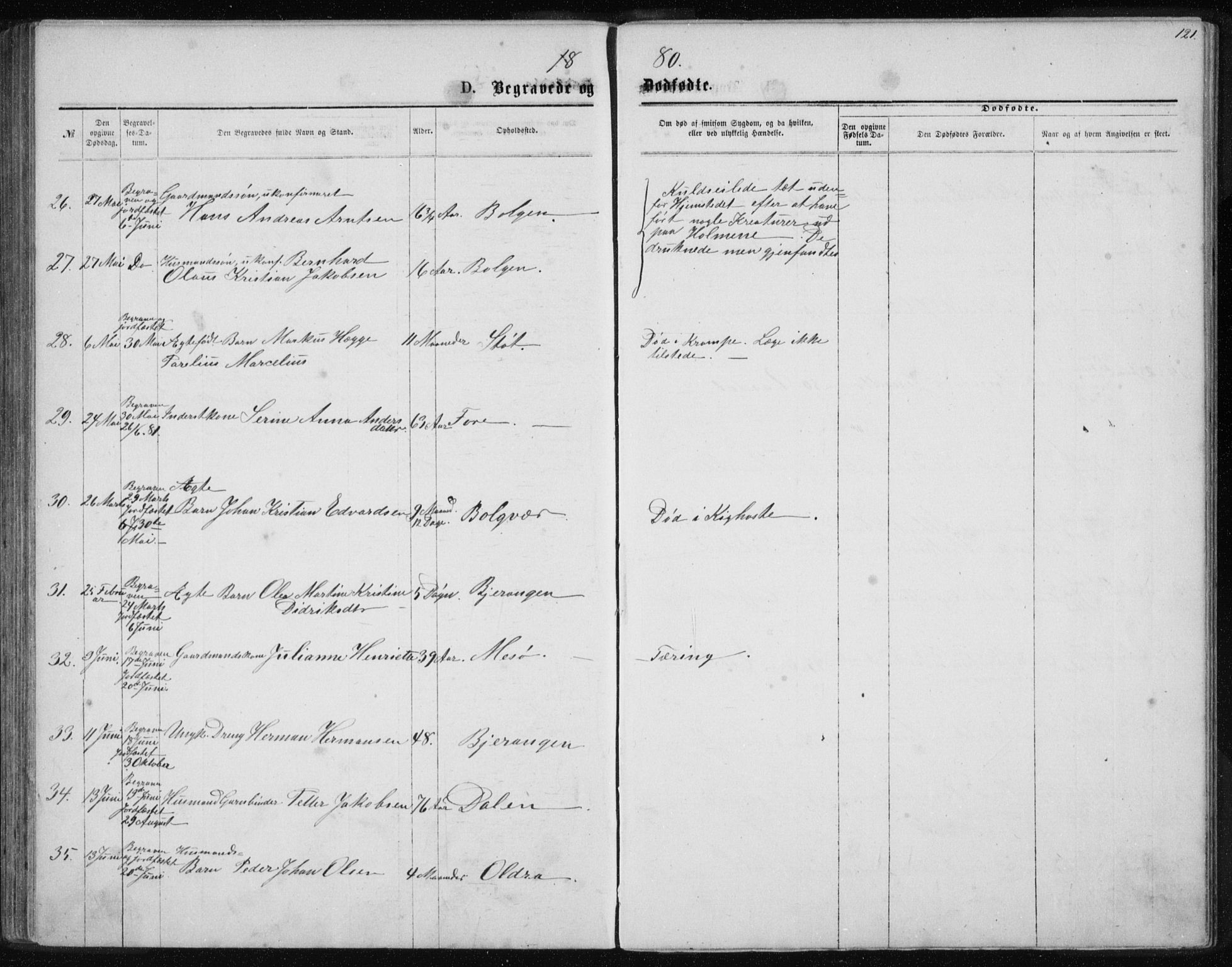 Ministerialprotokoller, klokkerbøker og fødselsregistre - Nordland, AV/SAT-A-1459/843/L0635: Parish register (copy) no. 843C04, 1872-1887, p. 121