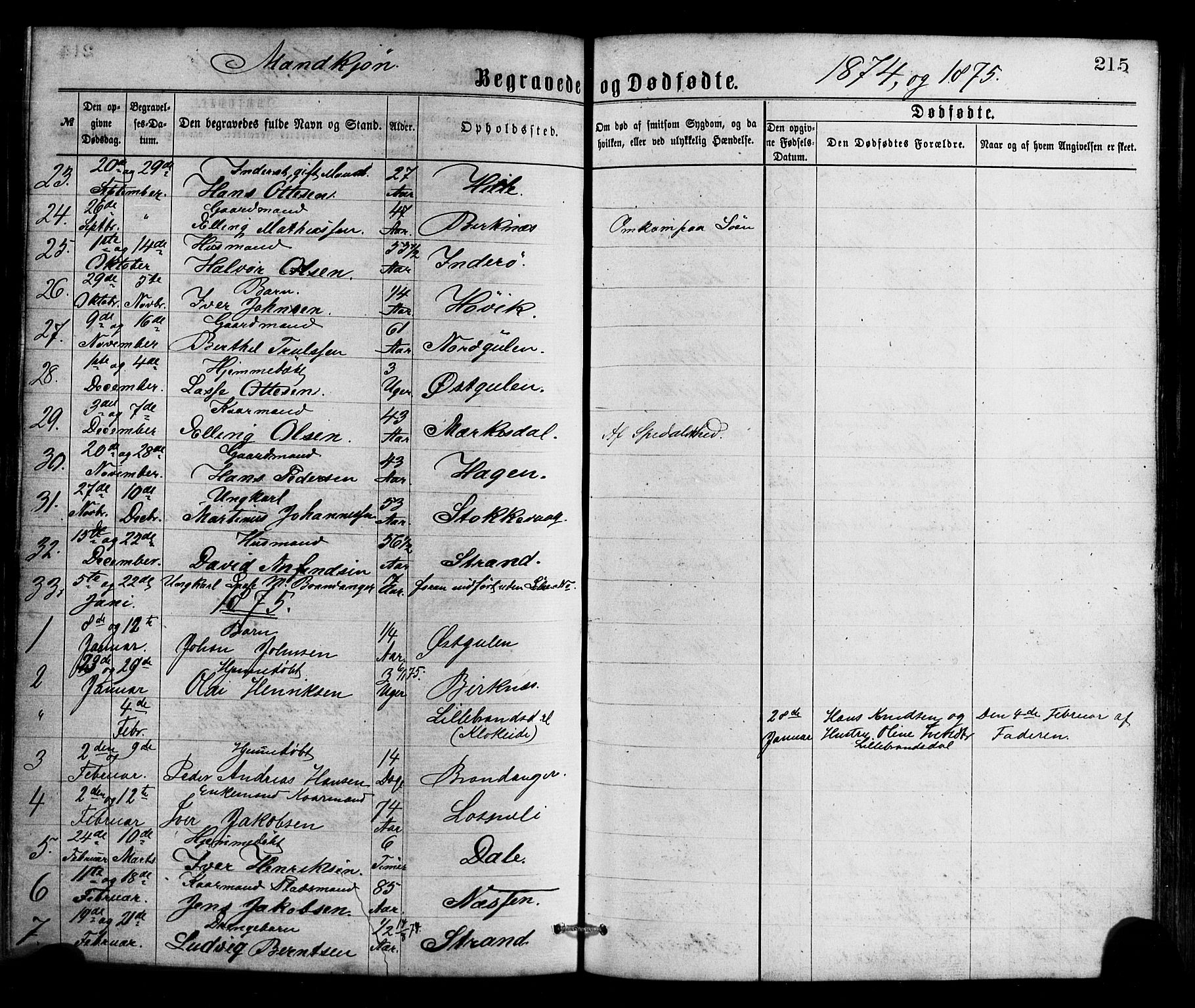 Gulen sokneprestembete, SAB/A-80201/H/Haa/Haaa/L0023: Parish register (official) no. A 23, 1870-1880, p. 215